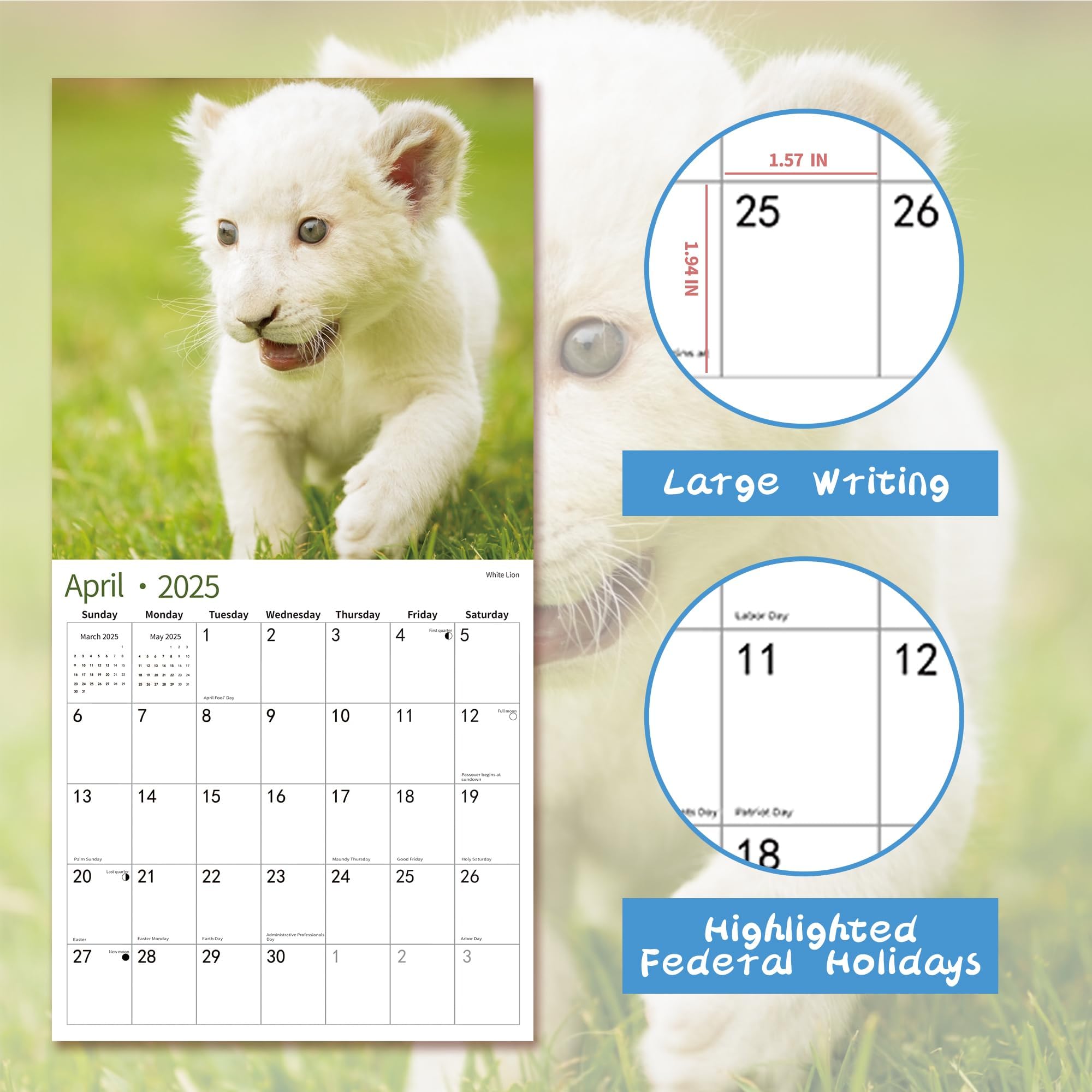 2025 Wall Calendar with Cute Baby Animals - January to December 2025, 12