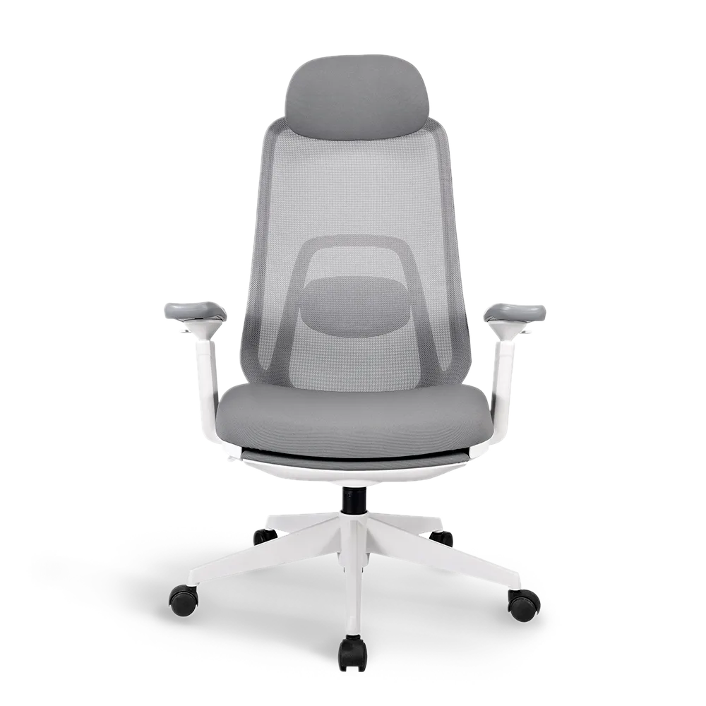Pluto Ergonomic Office Chair - Adjustable Lumbar Support & Breathable Mesh Back - Perfect for Home Office, Gaming & Workspace