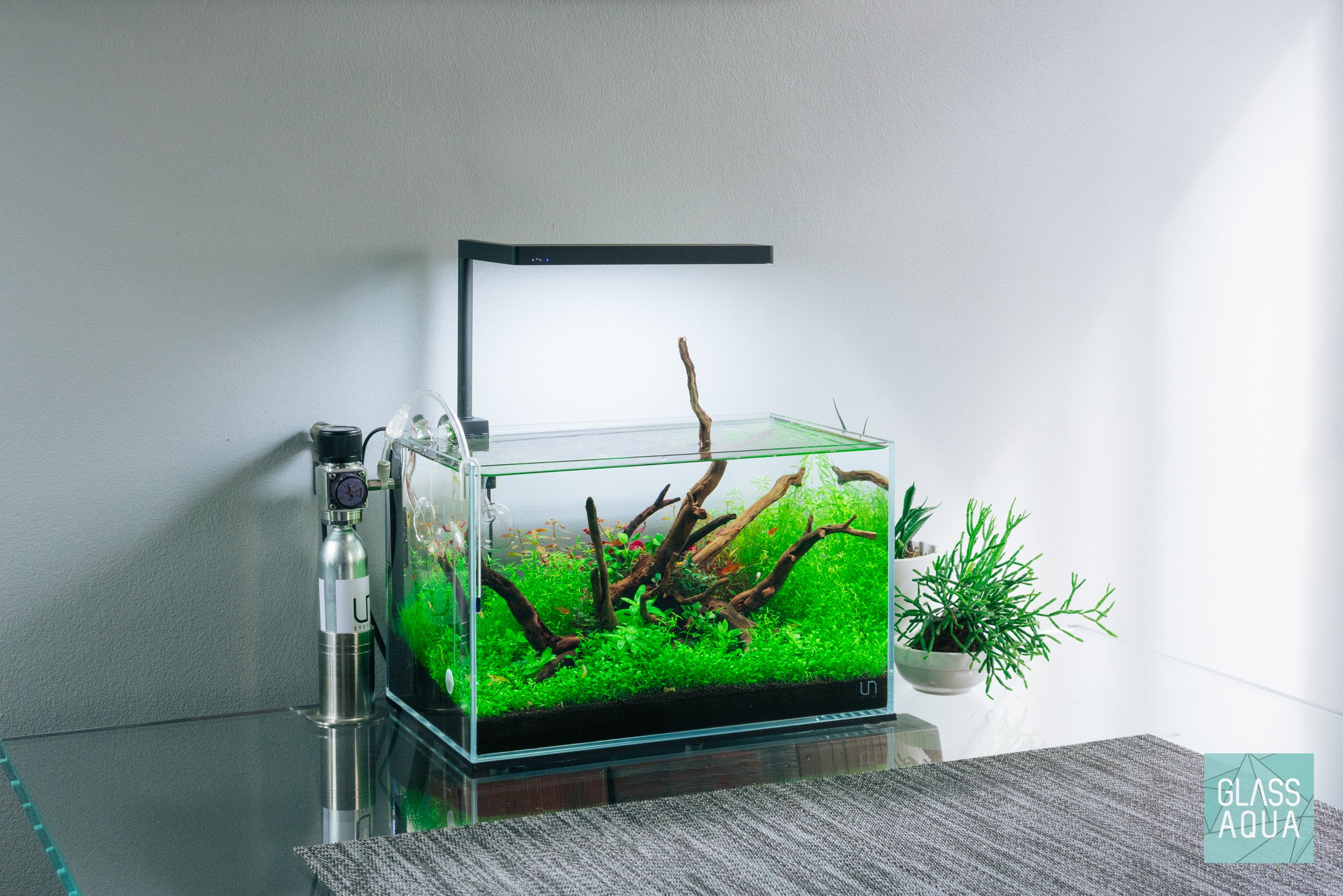 Nano CO2 Kit for Aquarium Plants - Compact CO2 System for Healthy Plant Growth | Perfect for Small Fish Tanks & Nano Aquascapes
