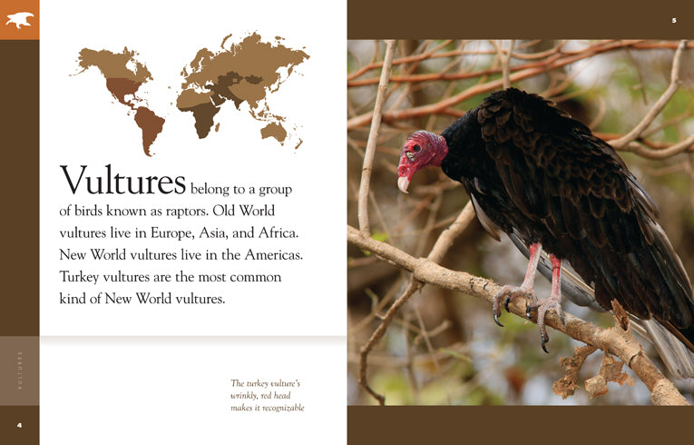 Amazing Animals (2014): Vultures - Nature Documentary Film | Wildlife Exploration & Bird Watching | Perfect for Classroom Education & Nature Enthusiasts
