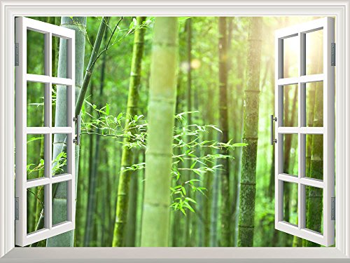 Bamboo Forest With Morning Sunlight