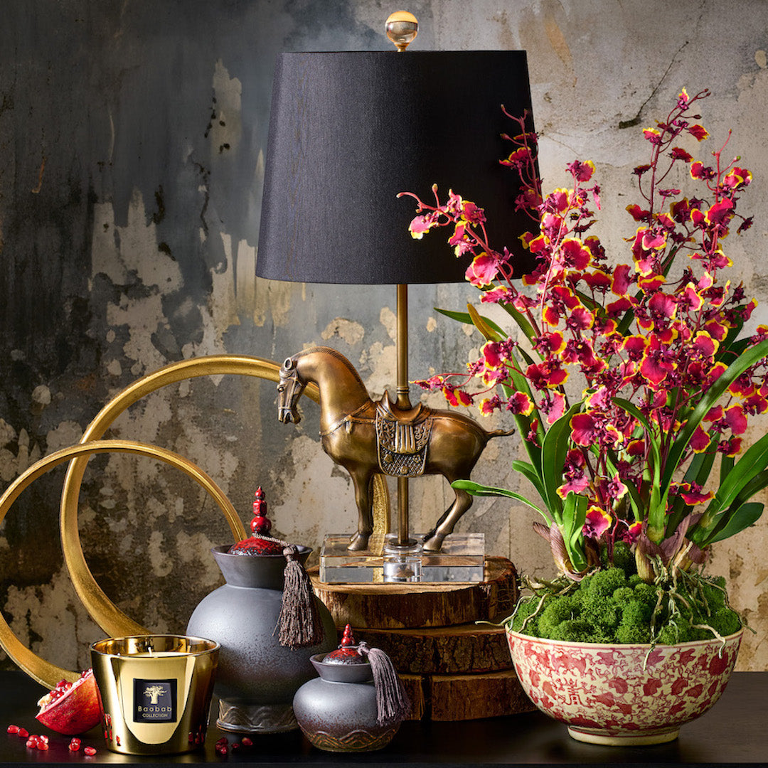 Red Oncidium Dancing Lady Orchids - Exotic Live Orchid Plants for Home & Office Decor - Perfect for Gifts, Weddings, and Indoor Gardening