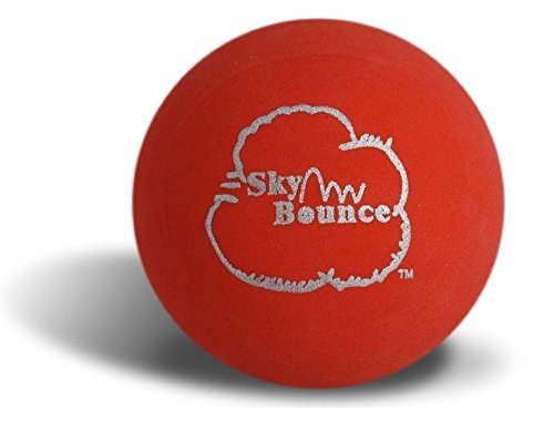 Sky Bounce One Wall Handball - Professional Red Rubber Ball for Outdoor & Indoor Play - Perfect for Handball, Racquetball, and School Gym Class Activities