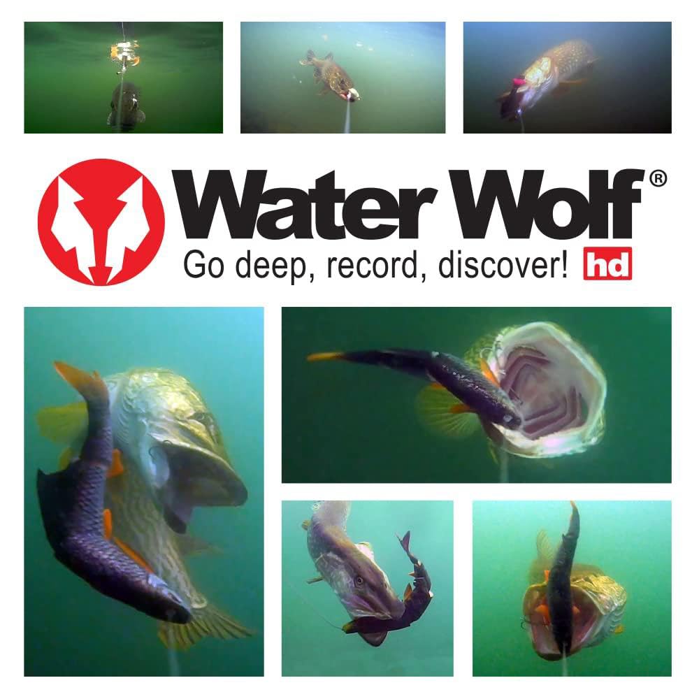 Waterwolf Underwater Fishing Camera 2.0 - 1080P HD Waterproof Action Camera for Scuba Diving, Spearfishing & Marine Exploration | Perfect for Underwater Photography, Ice Fishing & Boat Safety