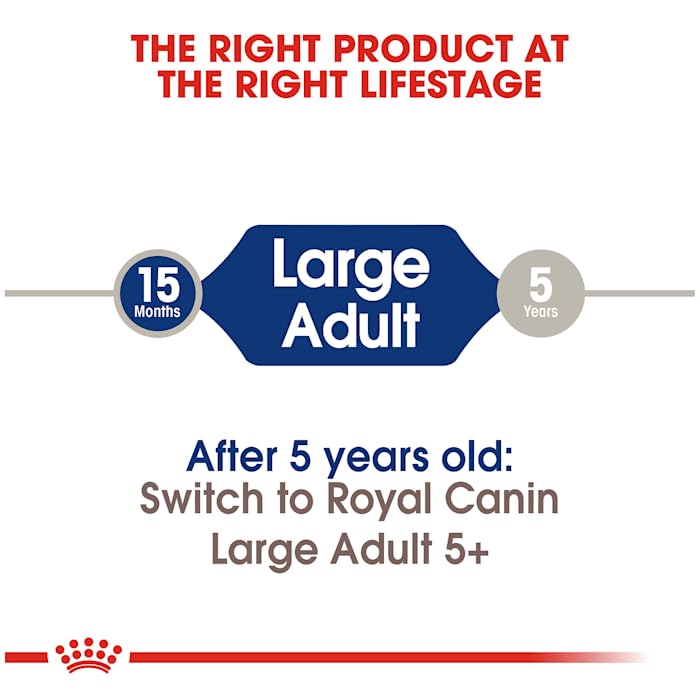 Royal Canin Large Breed Adult Dry Dog Food - 6 lb Bag | Premium Nutrition for Big Dogs | Ideal for Active & Senior Large Breeds
