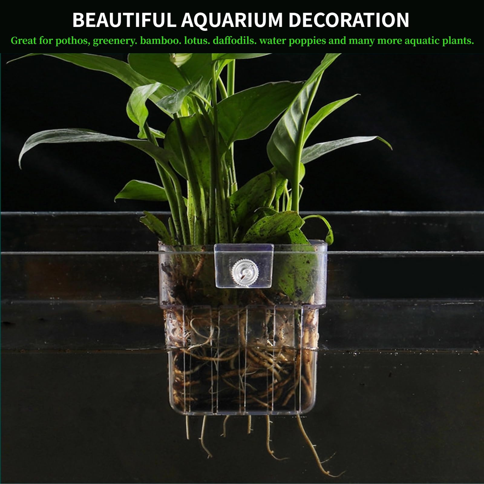 2 PCS Aquarium Plant Holder - Top Hanging Fish Tank Plant Pot with Suction Cups for Aquatic Plants | Perfect for Freshwater & Saltwater Aquarium Decoration