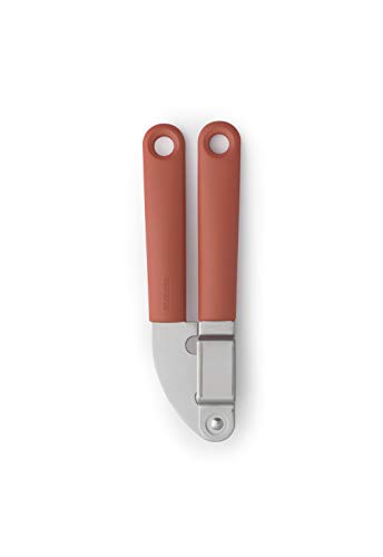 Terracotta Pink