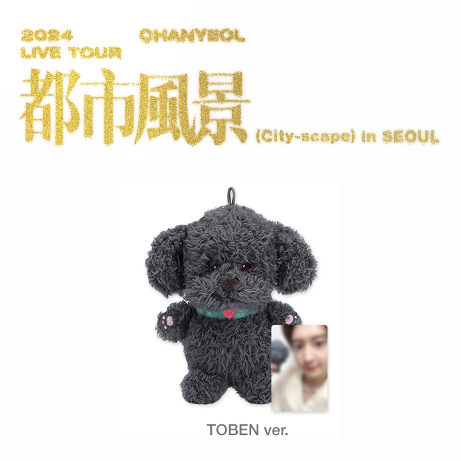 EXO CHANYEOL 2024 World Tour 'CITY SCAPE' Official Merchandise - Kpop Light Stick, Hoodie & Concert Souvenirs for Fans | Perfect for Kpop Concerts, Fan Meetings & Collectors