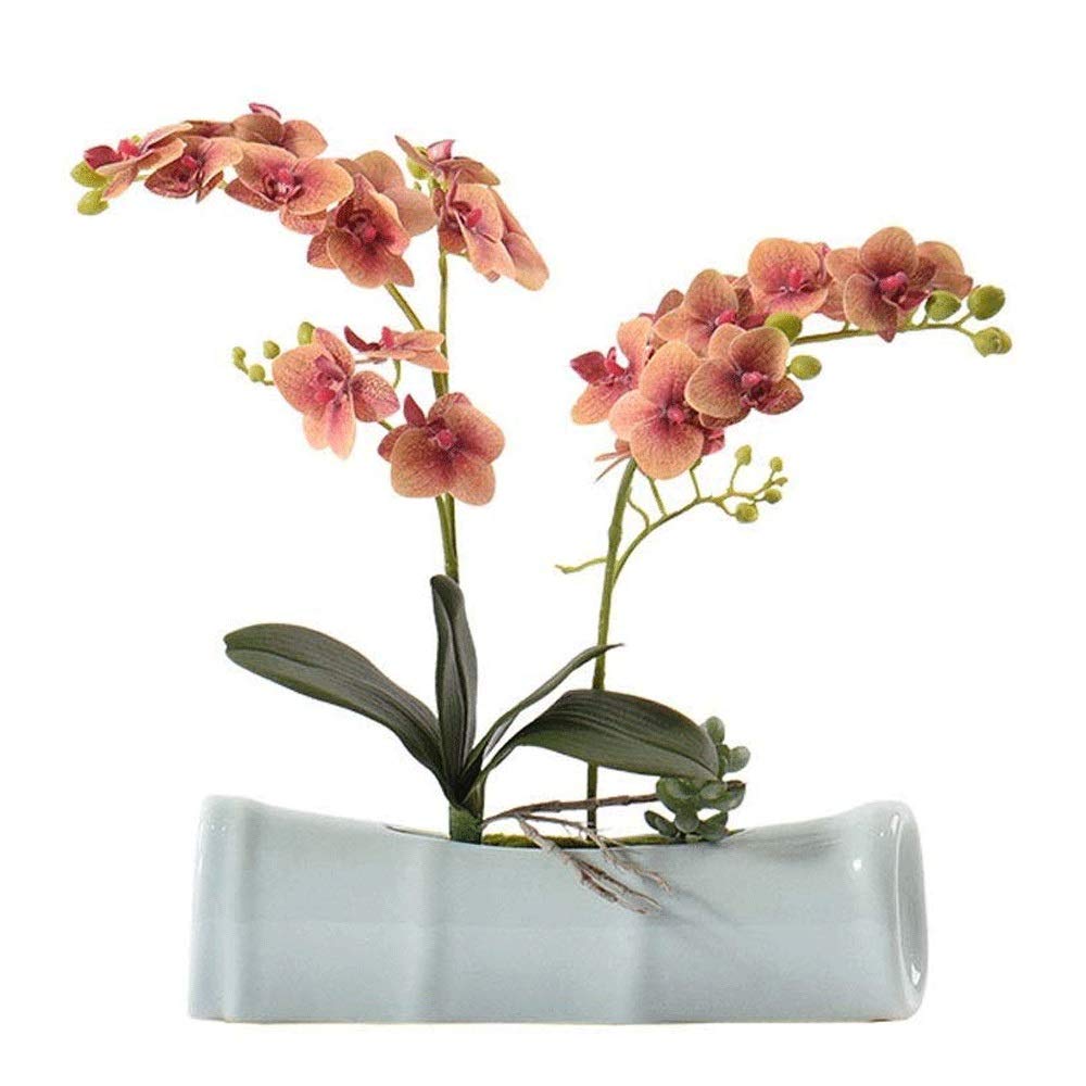 Real Touch Silk Orchid Bonsai Artificial Flowers - Phalaenopsis Fake Flowers in Imitation Porcelain Pots for Home & Office Decor | Perfect for Living Room, Wedding Centerpieces & Gift Ideas