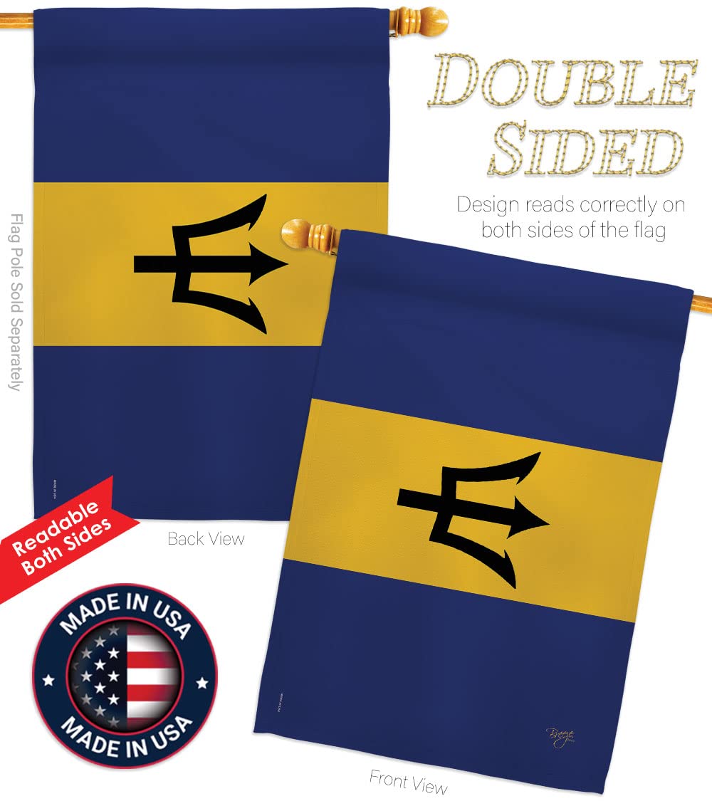 Barbados National Flag 28