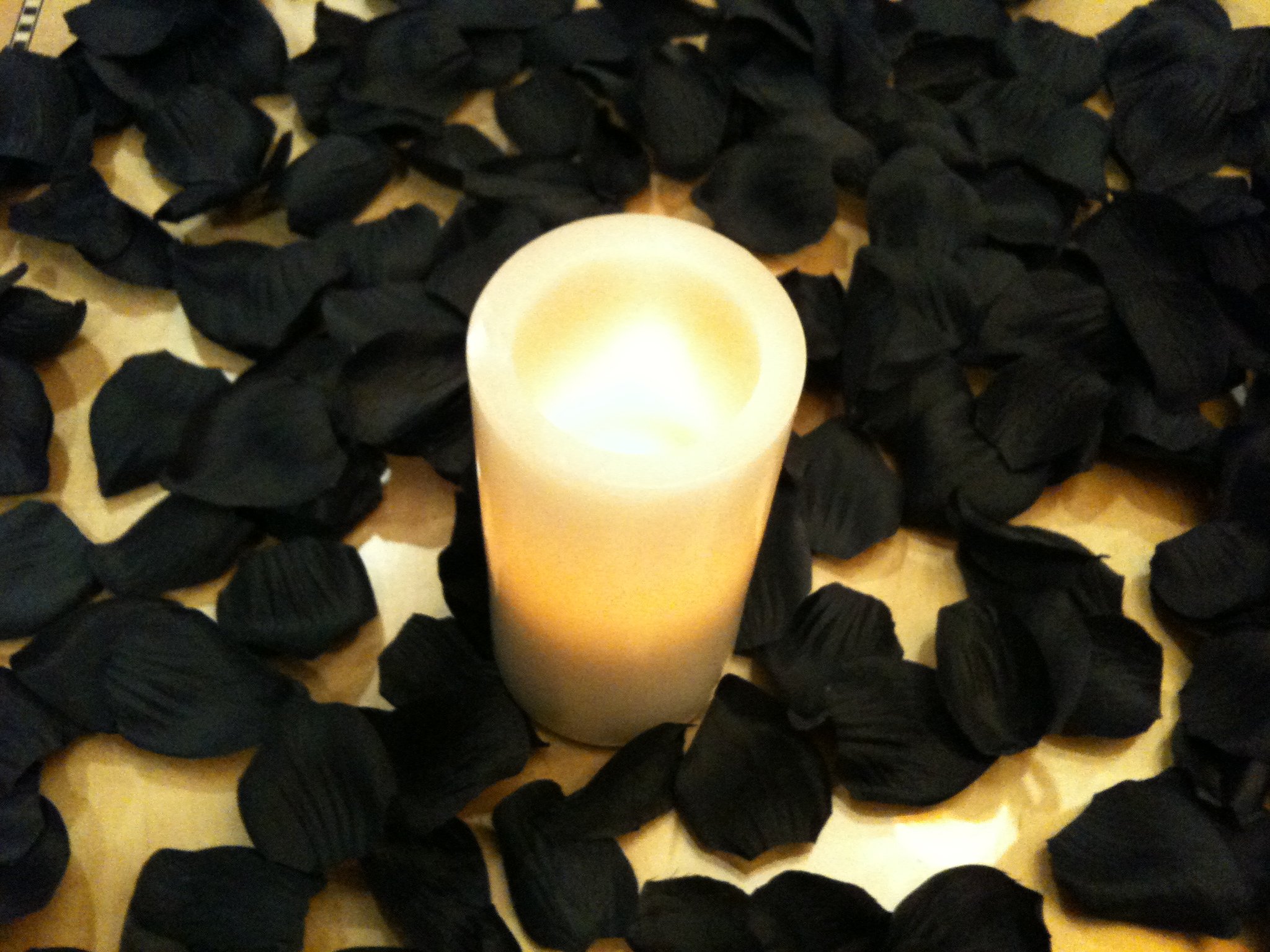 500 Black Silk Rose Petals - Premium Artificial Flower Petals for Wedding Decorations, Party Favors, Bridal Shower, Centerpieces & Romantic Home Decor