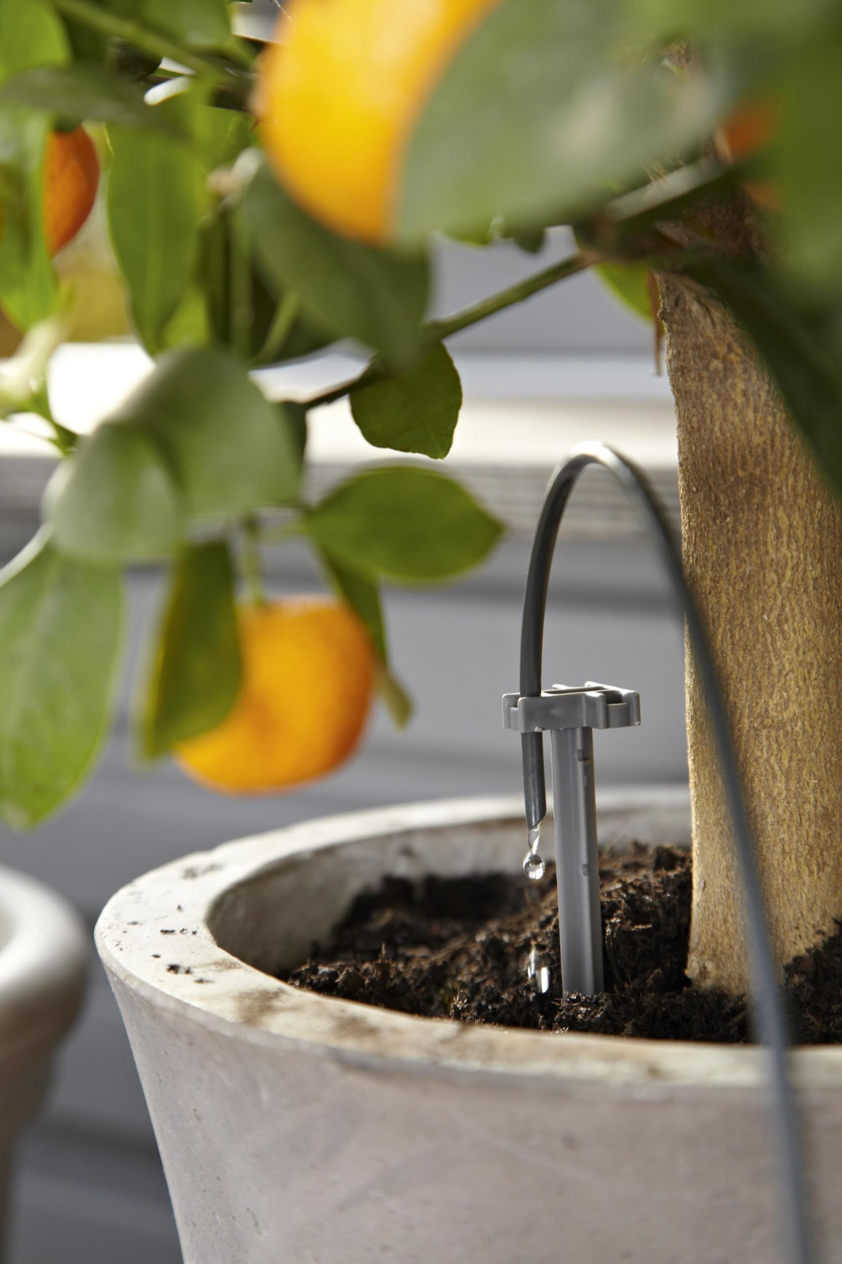 **Gardena City Gardening Holiday Watering Set – Automatic Plant Watering System for Indoor & Outdoor Plants – Waters Up to 36 Plants (Model 1265-20) – Perfect for Vacation, Travel & Home Garden Care**