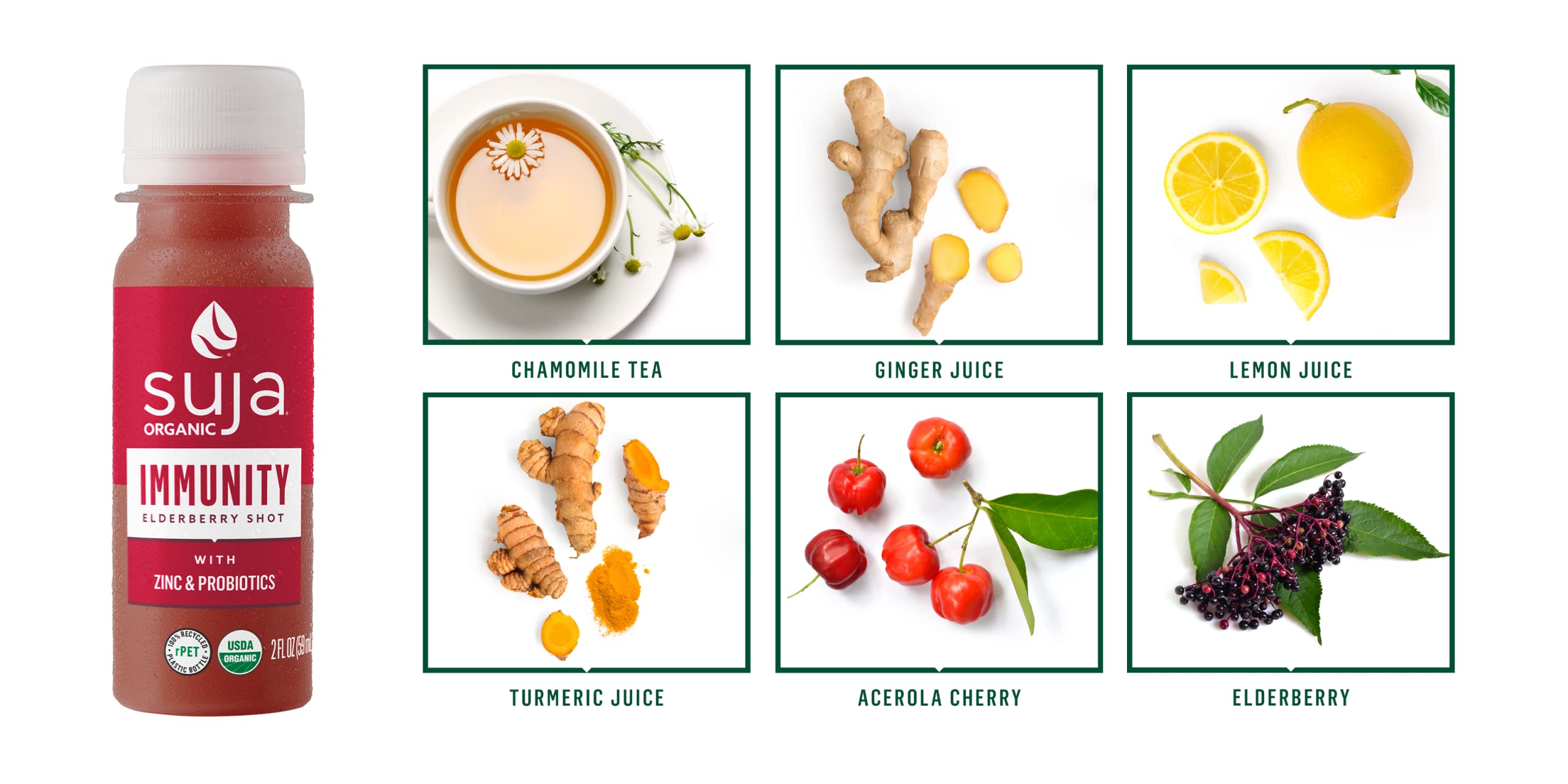 Organic Elderberry Immunity Shot with Turmeric & Ginger (90 Pack) - Cold-Pressed Juice with Live Probiotics - Immune Support & Wellness Boost - Plant-Based, Gluten-Free Functional Shots for Daily Health & Wellness Routine