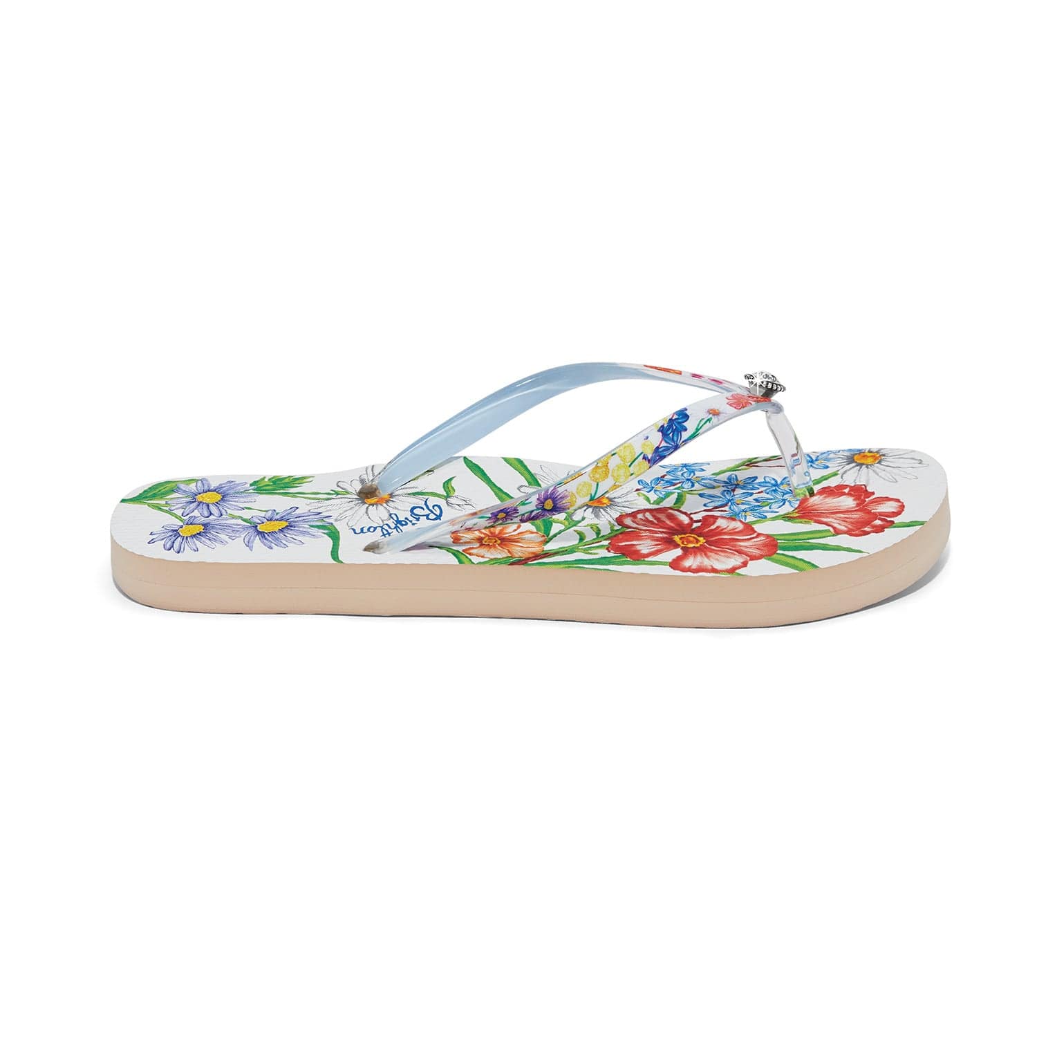 **Aussie Flip Flops - Comfortable & Durable Sandals for Men & Women - Perfect for Beach, Pool, and Summer Outdoor Activities**