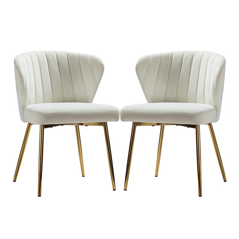Aruna Side Chair Set - Modern Dining Chairs for Kitchen, Living Room & Office - 2-Piece Wooden Accent Chairs with Cushion - Perfect for Small Spaces, Breakfast Nook & Home Decor