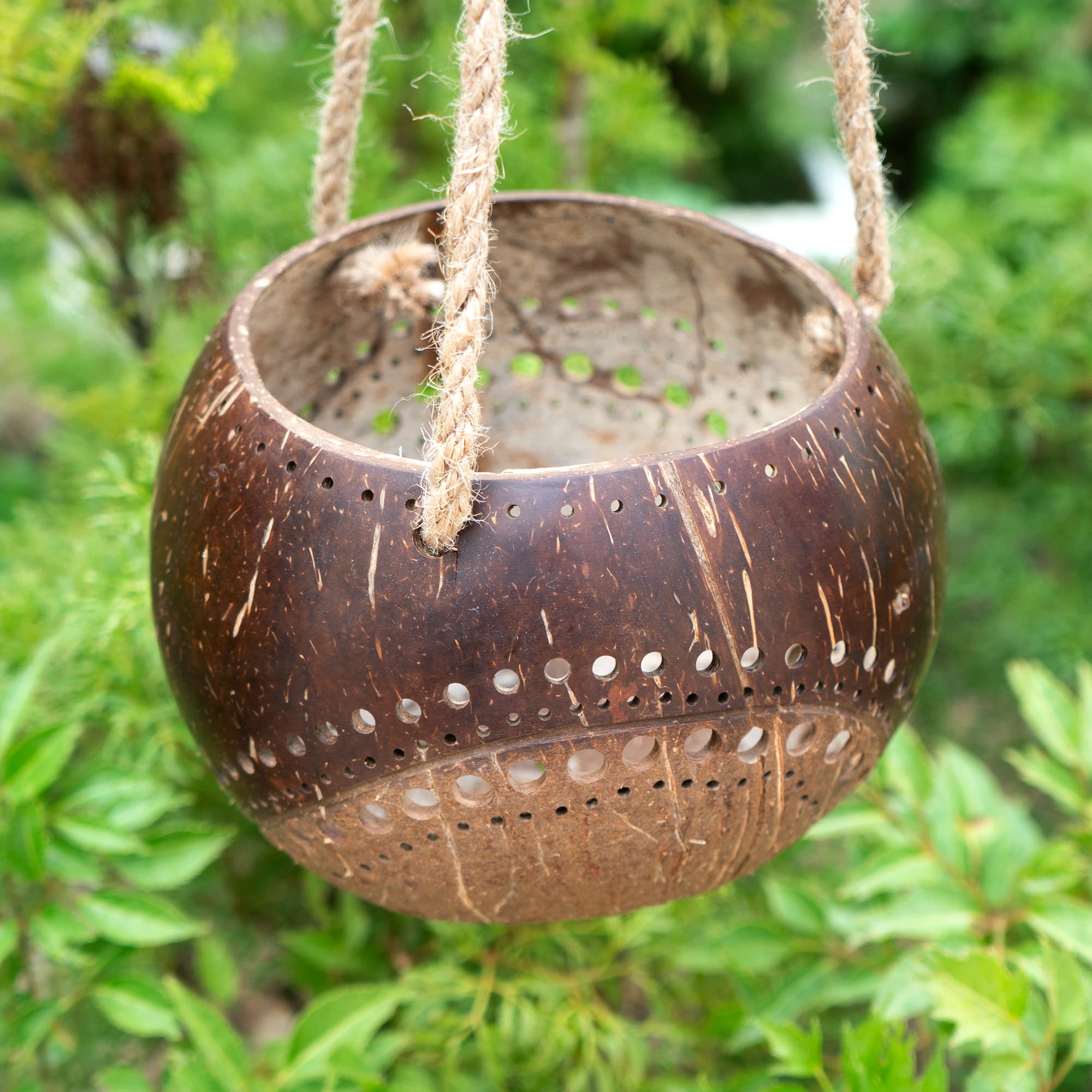 Set of 2 Handcarved Coconut Hanging Planters with Drainage Holes - Natural Two-Tone Design for Succulents, Flowers & Small Plants - Eco-Friendly Indoor/Outdoor Garden Decor - Perfect for Balcony, Patio and Home Décor