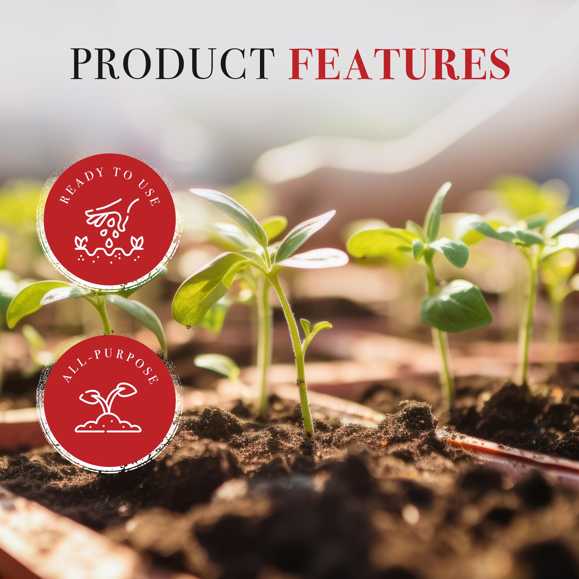 Premium 1550P Baccto Top Soil - 50 lbs (6 Pack) for Lawns, Gardens & Raised Beds | Reed Sedge, Peat & Sand Blend | Ideal for Landscaping, Vegetable Planting & Flower Beds