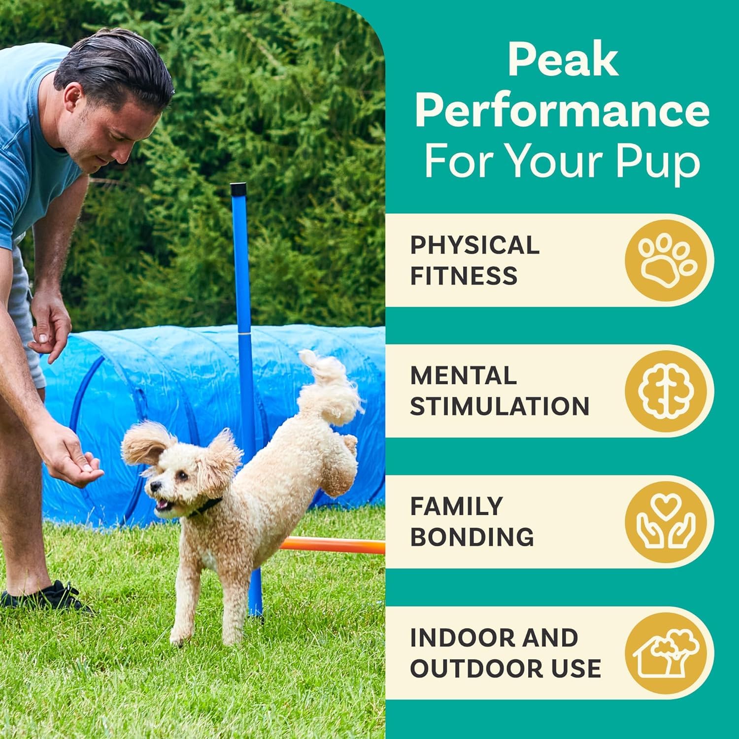 Dog Agility Training Set - Backyard Obstacle Course for Dogs | Outdoor Exercise Equipment