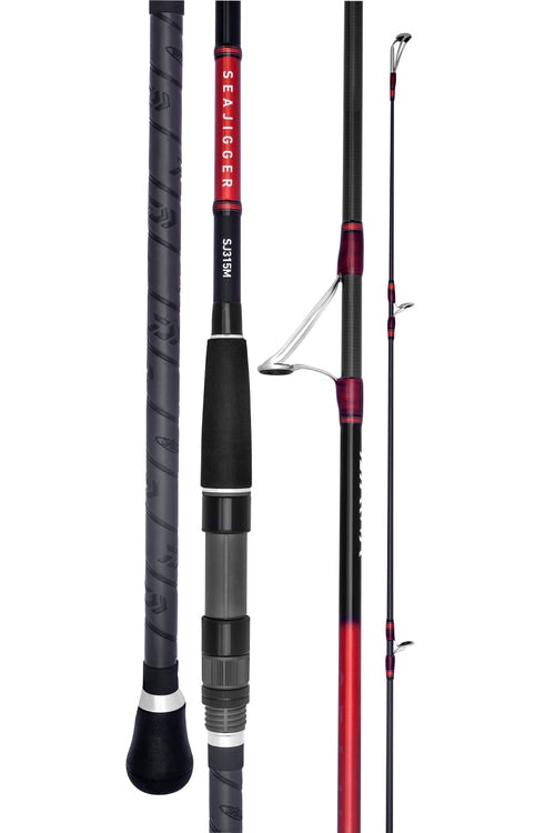 Daiwa 19 Seajigger Spin Fishing Rod - Saltwater Surf Casting Rod for Offshore & Inshore Fishing - Perfect for Beach, Pier, and Boat Fishing Adventures