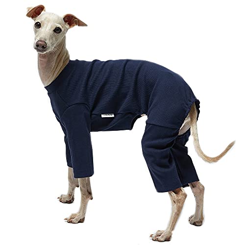 Basic Navy