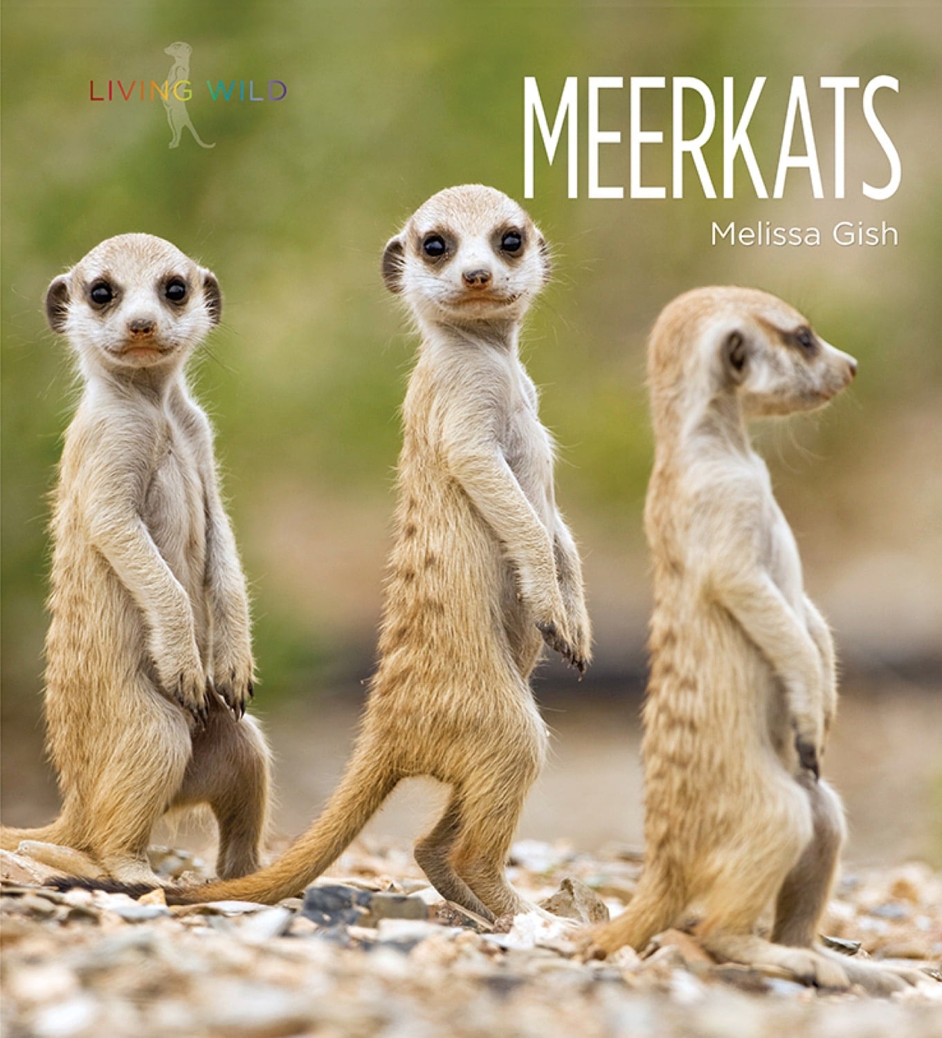 Meerkats Book - ISBN 9781608185696 - Wildlife Education & Nature Exploration for Kids & Adults