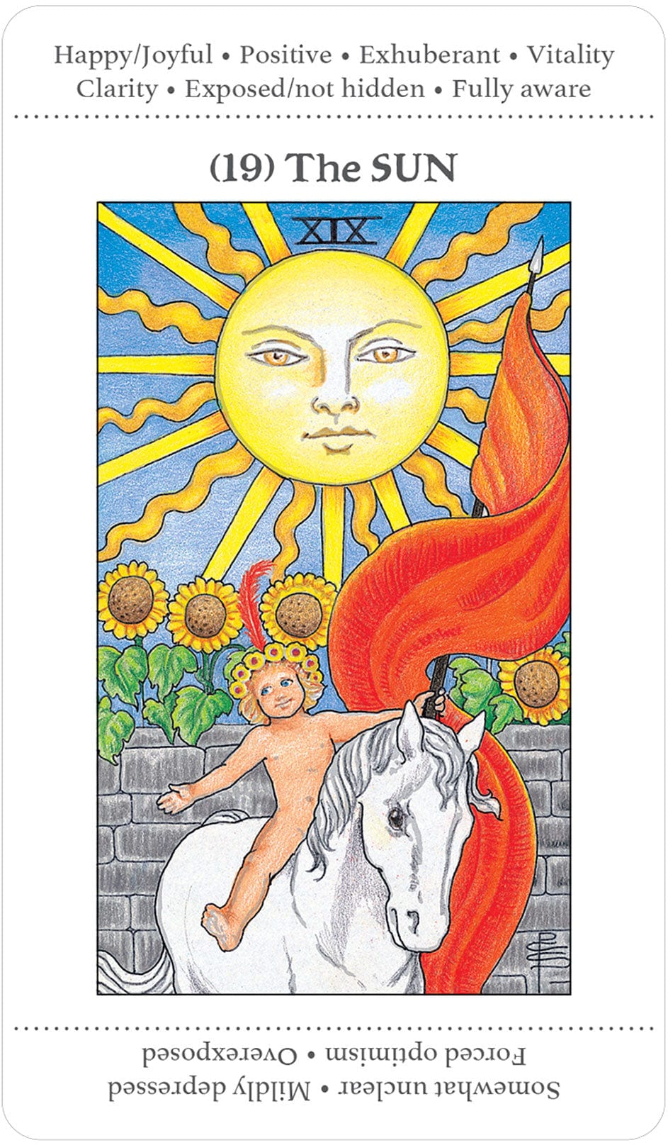 Apprentice Tarot Deck - 78-Card Beginner Tarot Set with Guidebook | Perfect for Learning Tarot, Meditation & Spiritual Growth
