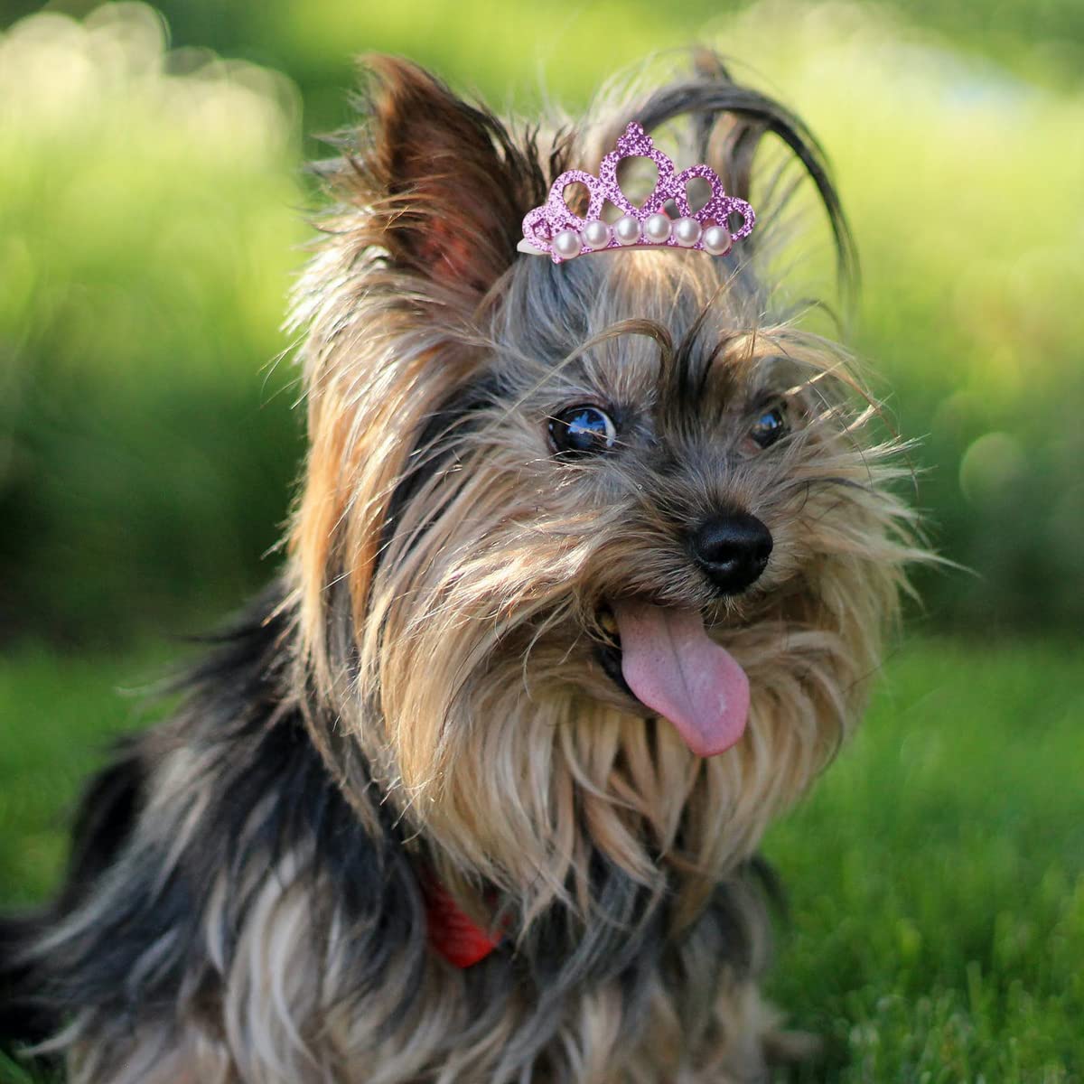 30Pcs Dog Crown Hair Clips & Topknot Bows - Pet Grooming Accessories for Dogs and Cats - Christmas, Halloween, Thanksgiving Party Supplies - Random Colors - Perfect for Pet Photo Shoots, Birthday Parties & Special Occasions