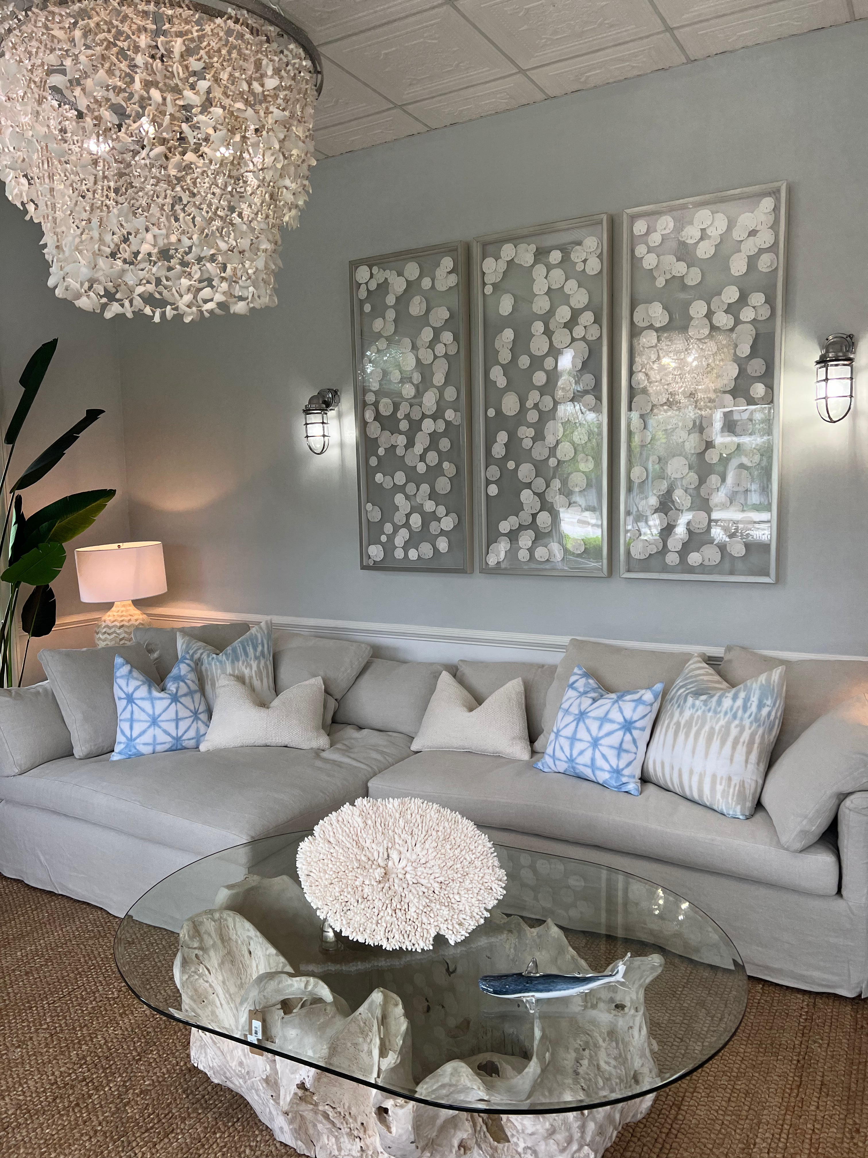 Handcrafted Silver Framed Sand Dollar Art - Coastal Home Decor for Beach House & Nautical Themes - Perfect for Living Room, Bedroom & Bathroom Wall Decor
