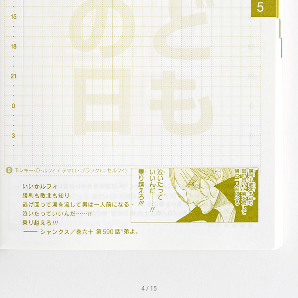 Hobonichi Techo 2025 Japanese Original Planner - One Piece Edition (A6 Size, Daily, January Start) | Perfect for Anime Fans, Journaling & Productivity | School, Office & Personal Use