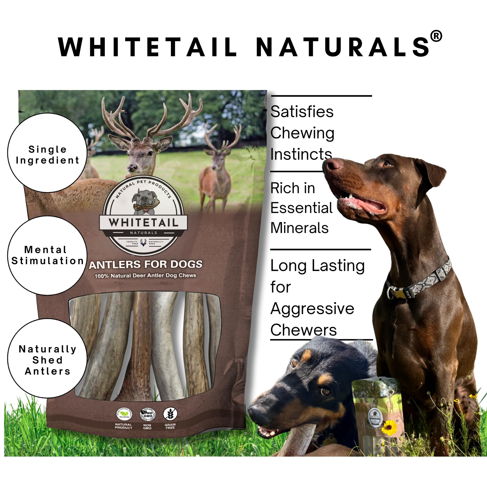 Premium Split Elk Antlers for Dogs - All Natural Dog Chew Bones (3 Pack Small to Medium) - Naturally Shed & Cruelty-Free - WhiteTail Naturals - Perfect for Teething, Dental Health & Long-Lasting Chewing