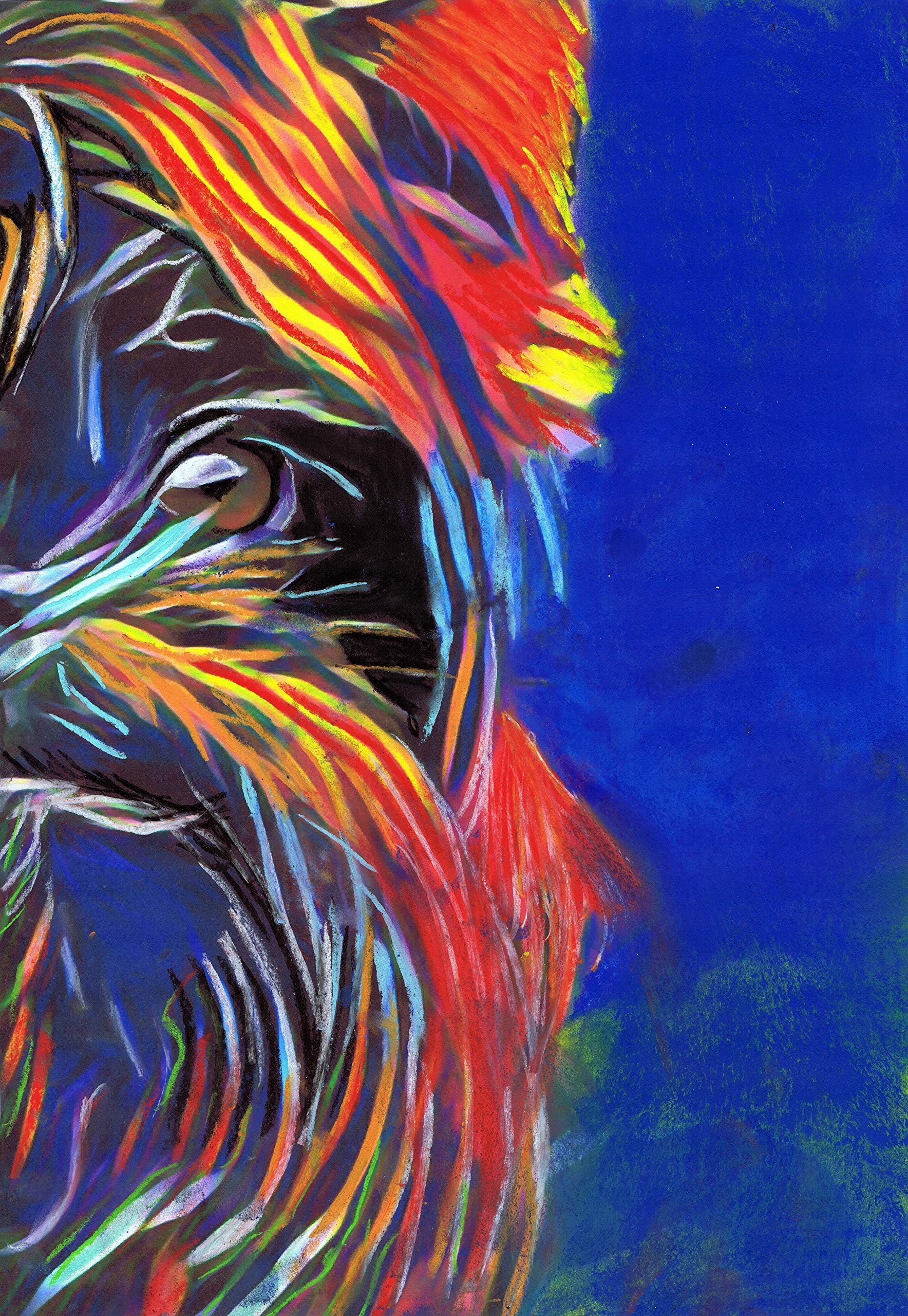 Affenpinscher Wall Art Print - Colorful Modern Dog Painting | Perfect Gift for Dog Lovers | Pastel Pet Portrait Decor for Living Room, Bedroom & Office