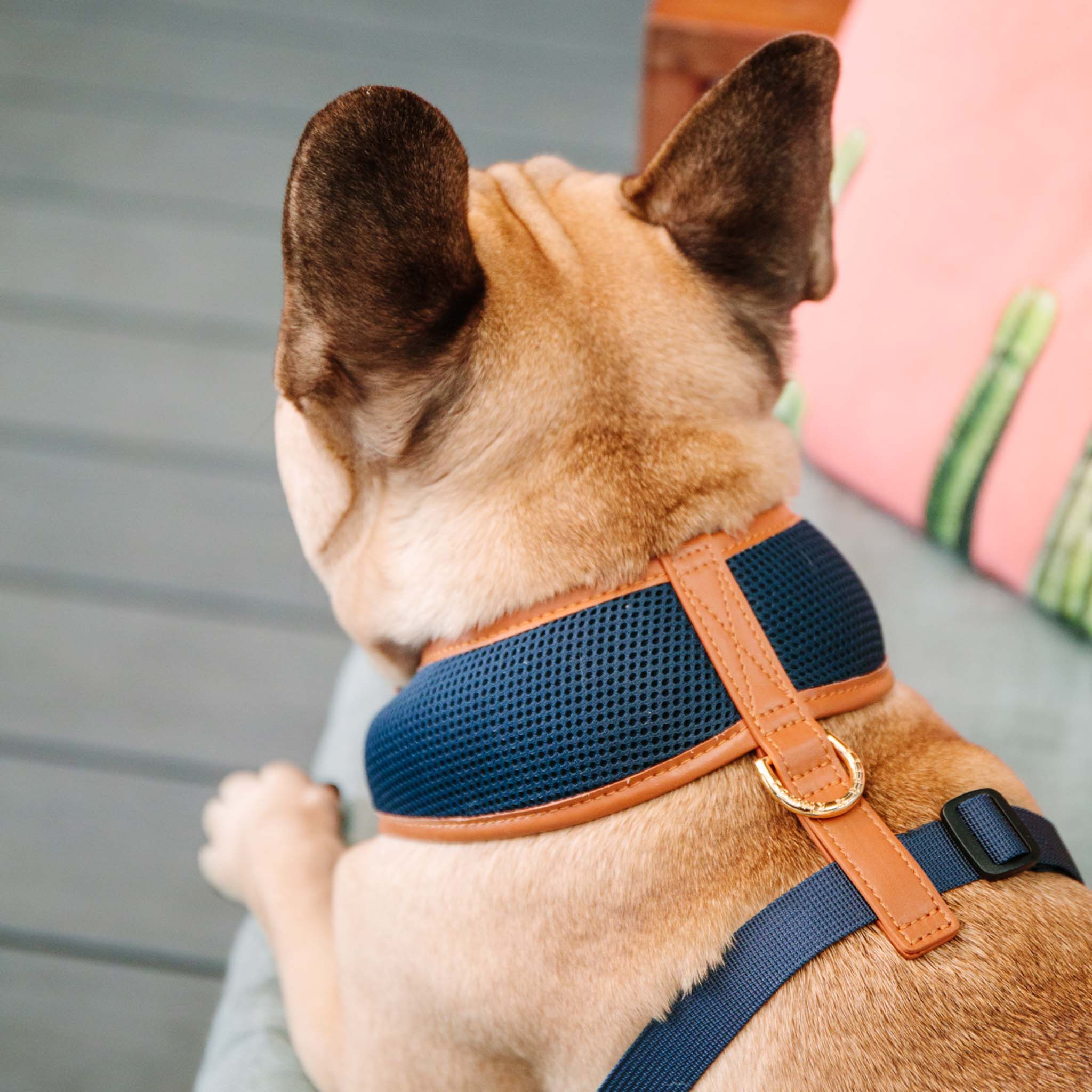 Premium Navy Blue Dog Harness with Tan Trim - Adjustable, Reflective & Padded for Small to Large Dogs - Perfect for Walking, Hiking & Outdoor Adventures