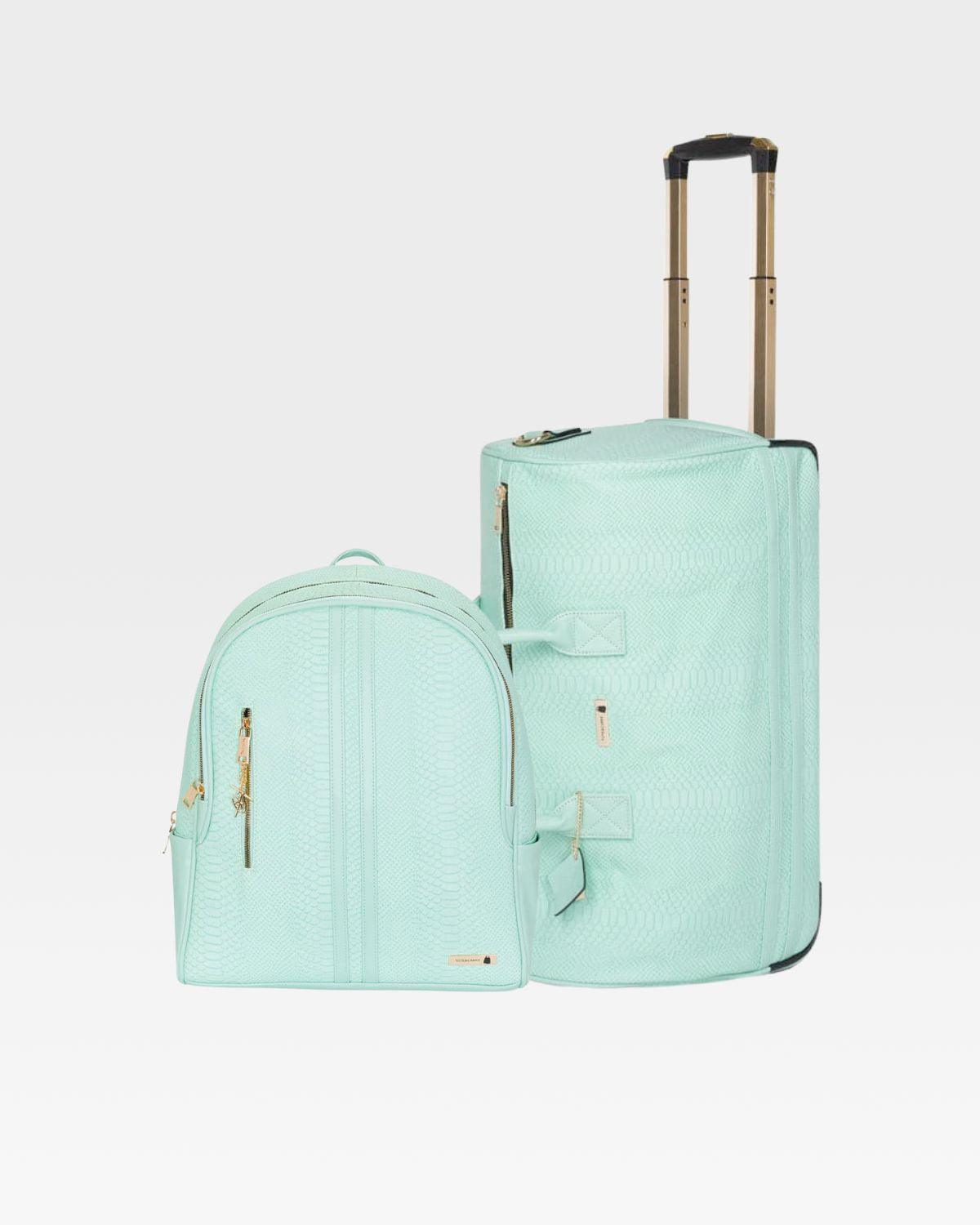 Apollo 1 Travel Backpack & Rolling Duffle Bag Set - Mint Green Carry-On Luggage for Business Trips, Gym, Weekend Getaways & Air Travel