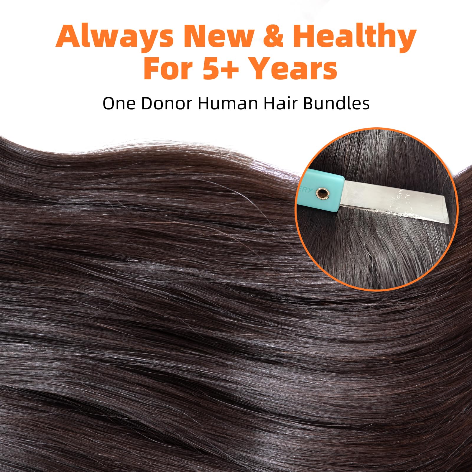 Clytie 100% Human Hair Bundles - Unprocessed Raw Straight Virgin Hair Weave 10 12 14 Inches for Natural Look & Styling | Perfect for Daily Wear, Special Occasions & Hair Extensions