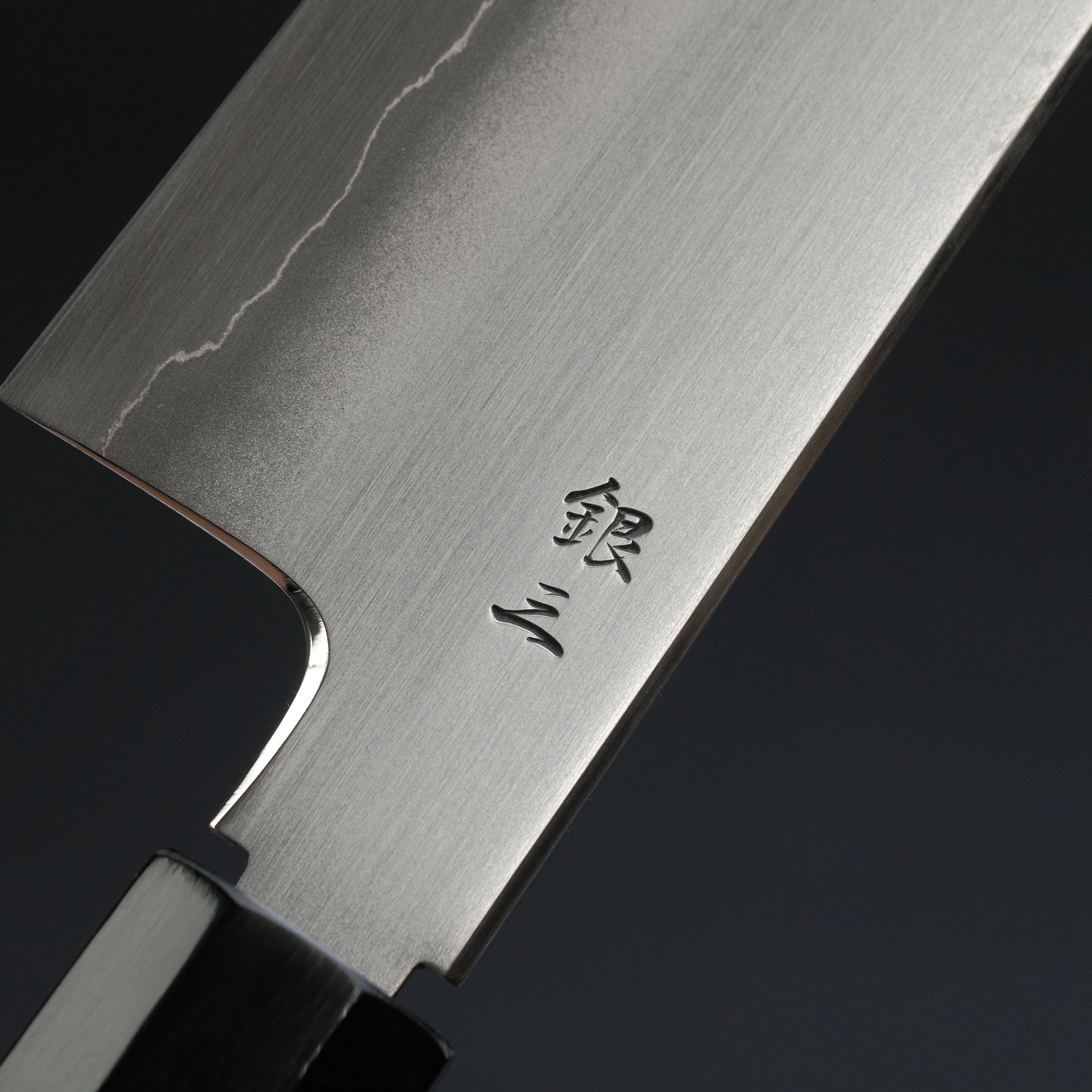 Tetsujin Silver #3 Ukiba Gyuto 210mm Japanese Chef Knife with Taihei Tagayasan Handle - Professional Kitchen Knife for Slicing, Dicing & Precision Cooking