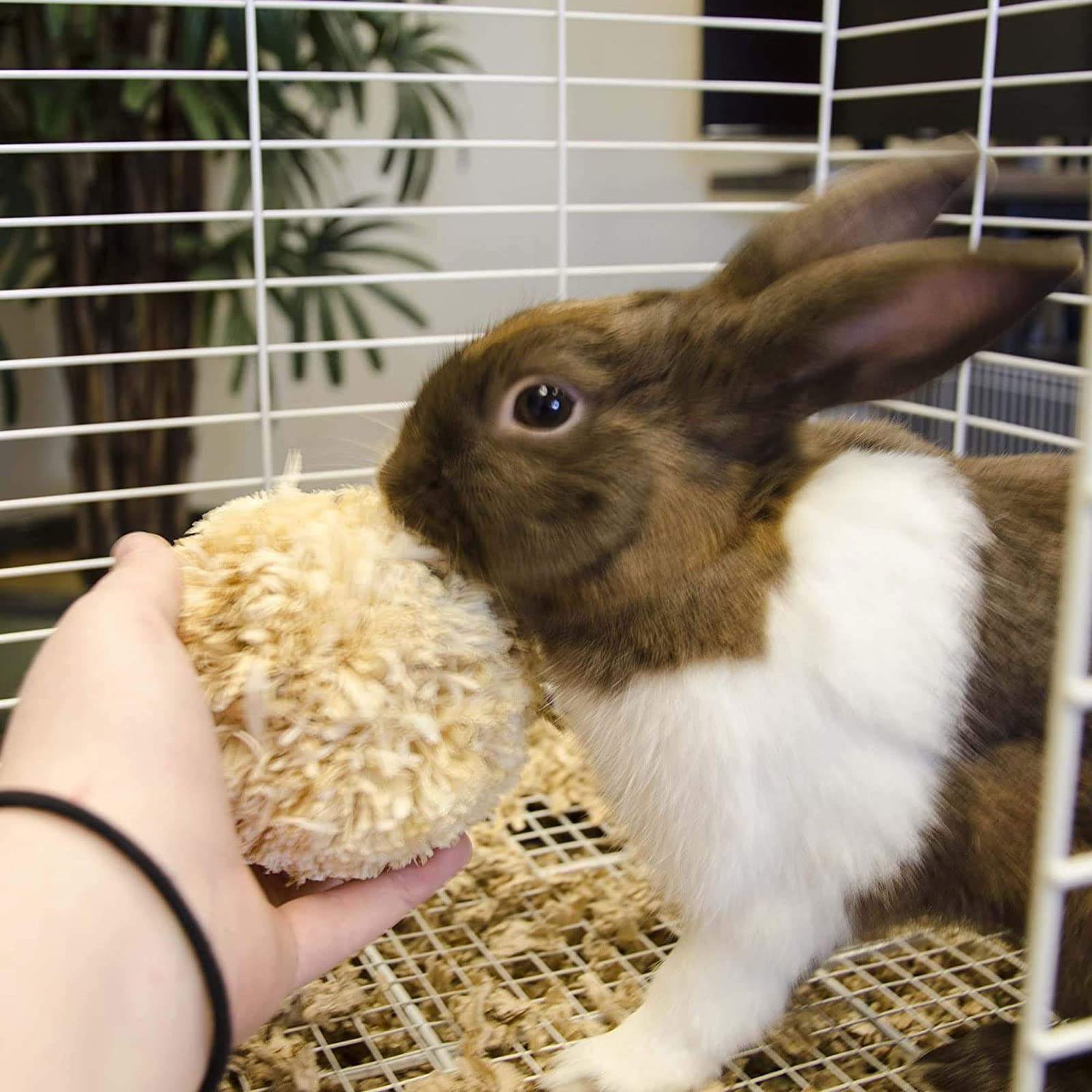 Natural Corn Husk Chew Toys for Rabbits, Chinchillas & Hamsters - Healthy Teeth Treats for Small Pets - Perfect for Cage Enrichment & Dental Care