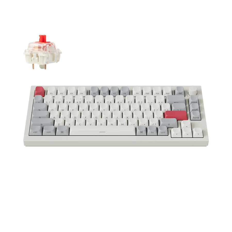 Shell White