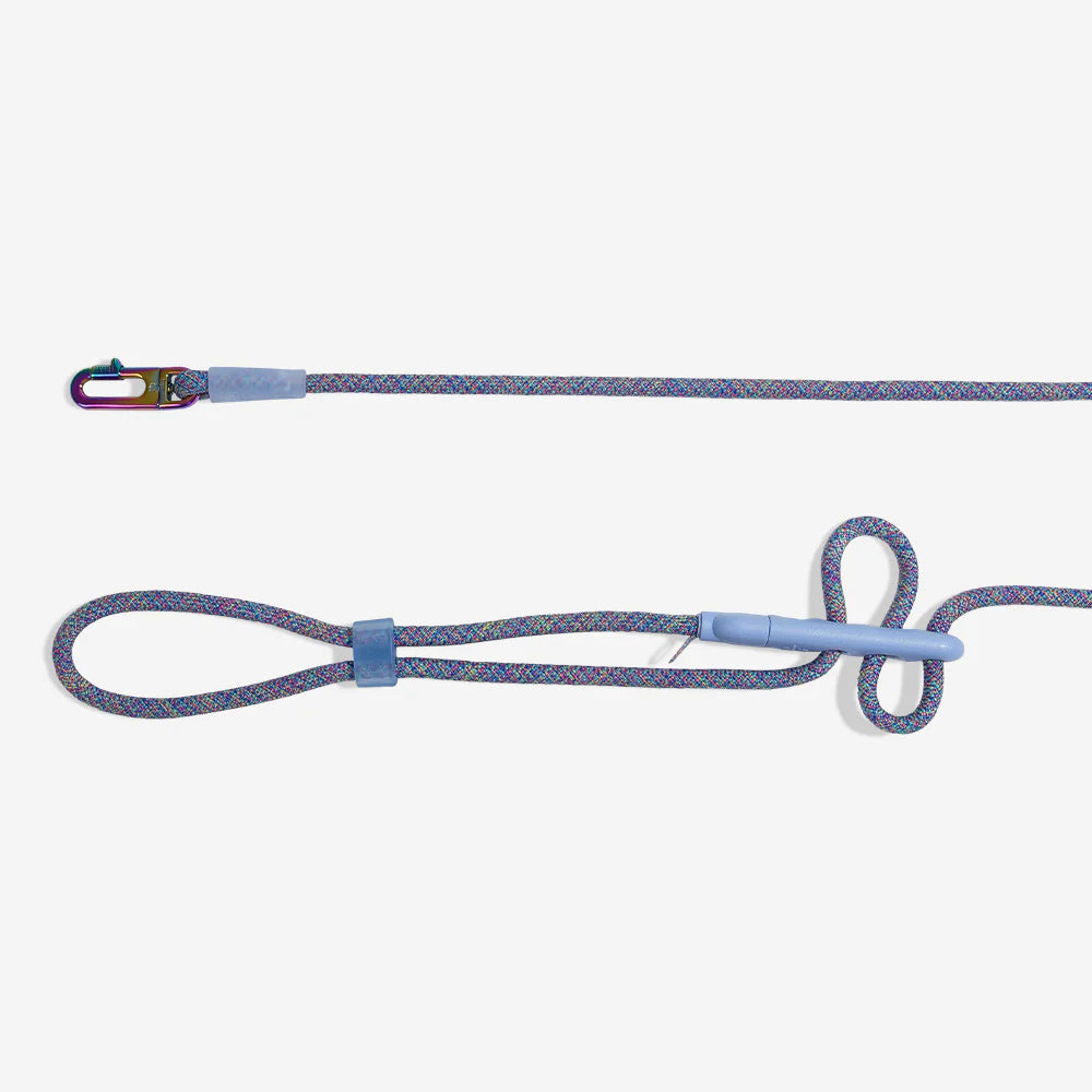 Hands-Free Dog Leash for Walking & Running - Zee.Dog Andromeda Reflective Adjustable Waist Belt for Medium & Large Dogs - Perfect for Jogging, Hiking & Outdoor Adventures