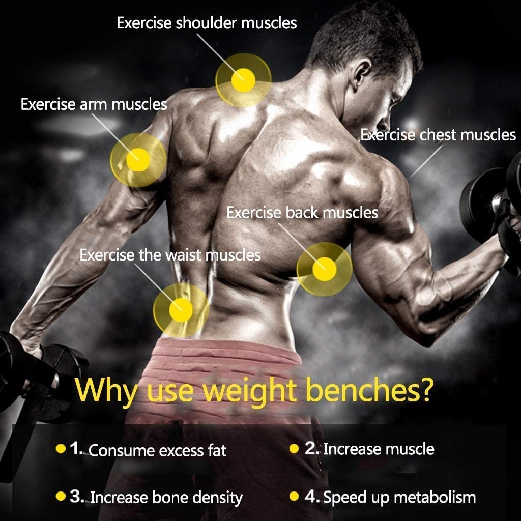 Adjustable Weight Bench for Home Gym - Multi-Position Folding Workout Bench for Strength Training (Flat/Incline/Decline) | Perfect for Full Body Workouts, Weightlifting & Home Fitness | Ideal for Small Spaces & Compact Home Gyms