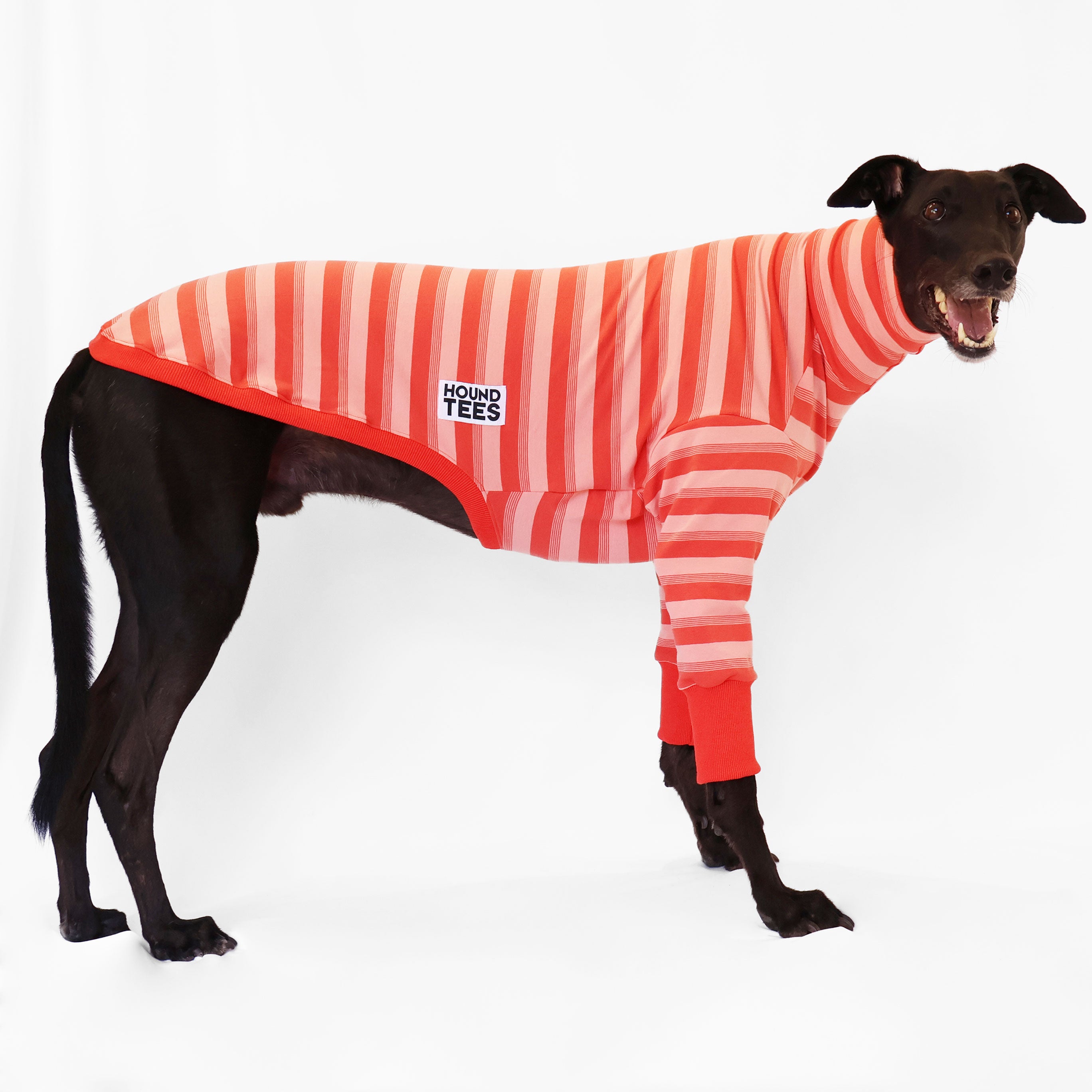 Galah Greyhound Long Sleeve Sweater for Men & Women - Cozy Knit Pullover for Fall & Winter - Perfect for Casual Outfits, Dog Lovers, and Outdoor Activities