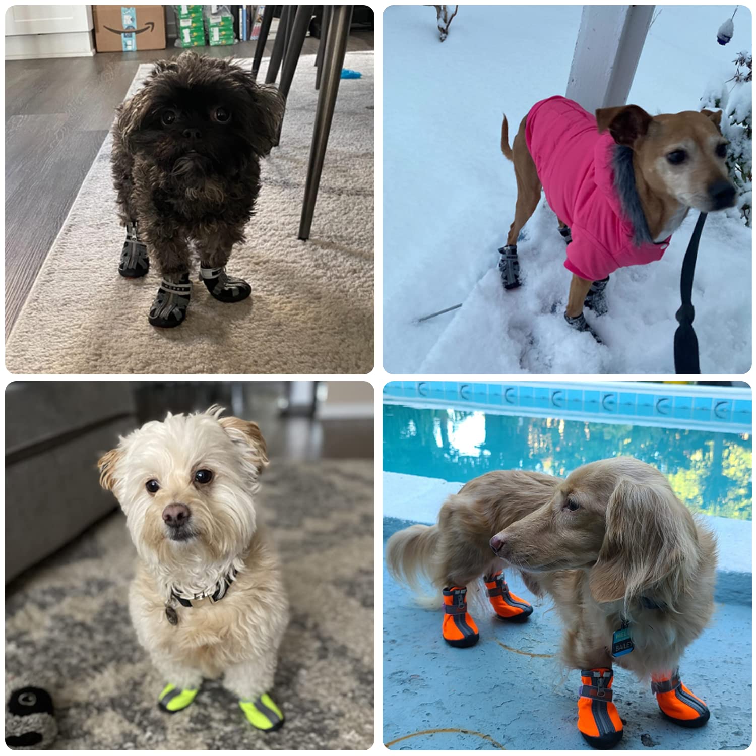 **Anti-Slip Winter Dog Boots for Small & Medium Dogs - Waterproof Snow Booties with Zipper & Reflective Design - Rugged Sole for Hiking, Walking & Outdoor Adventures**