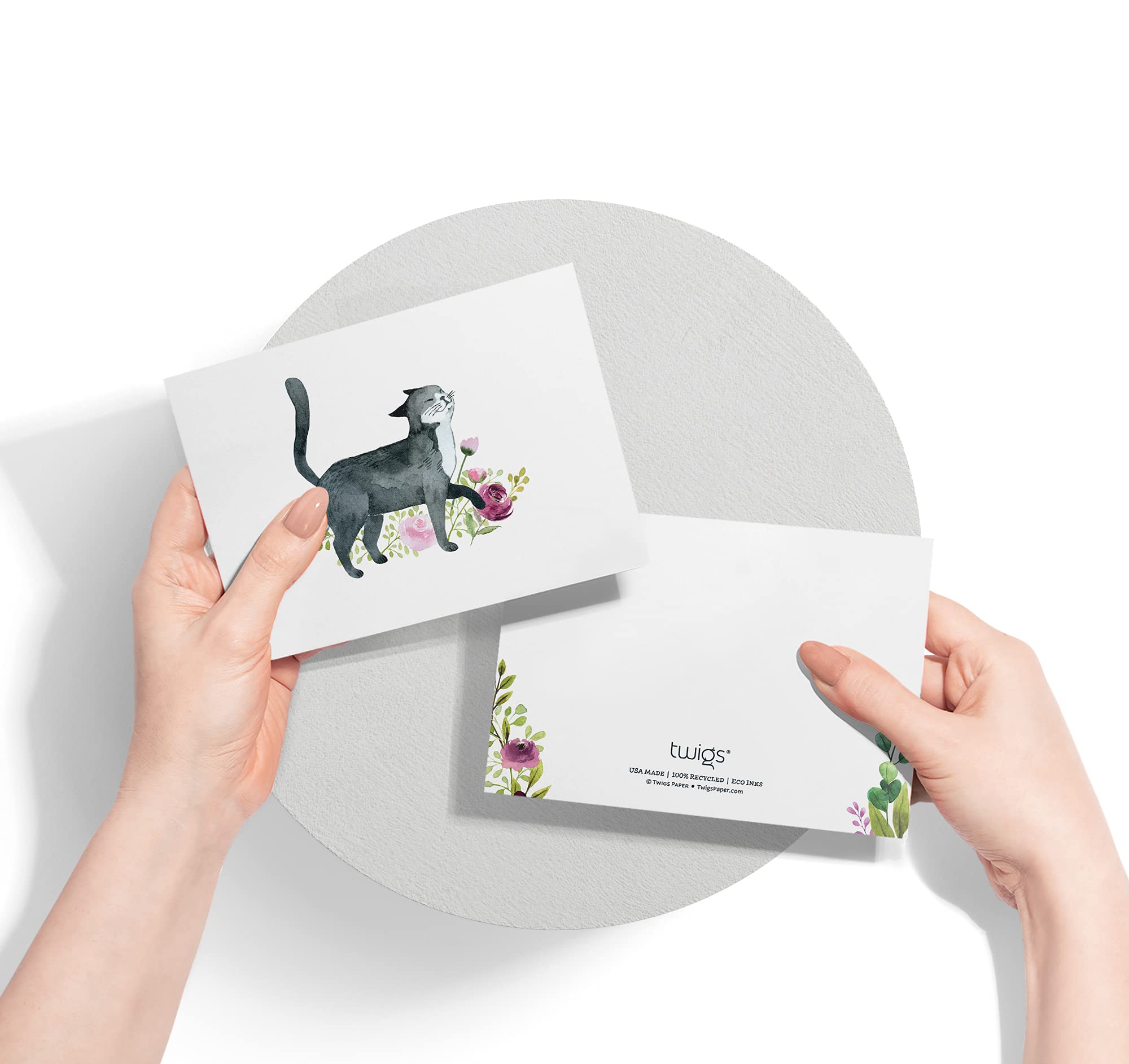 Twigs Paper - 12-Pack Assorted Cat Greeting Cards with Envelopes (5.5x4.25 in) - Blank Note Cards for Thank You, Birthday & All Occasions - USA Made Stationery - Perfect for Cat Lovers, Pet Owners & Handwritten Notes