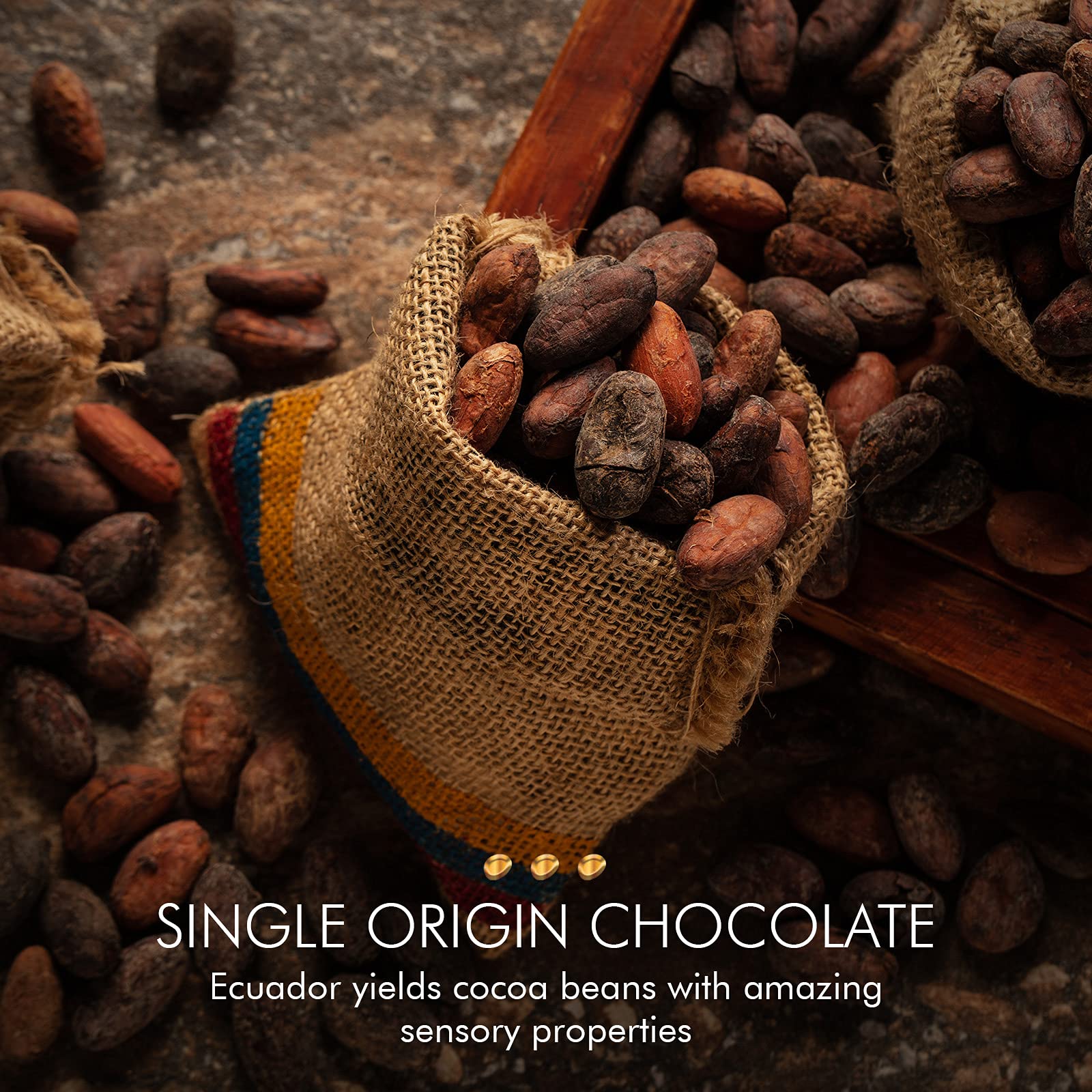 Mayta Gourmet Chocolate Bars - Premium Dark Chocolate with Ecuadorian Fine Aroma Cocoa, 55% Cacao & Coffee, Exotic Fruit Inclusions - 12 Pack (600g) - Perfect for Gifts, Desserts & Gourmet Snacking