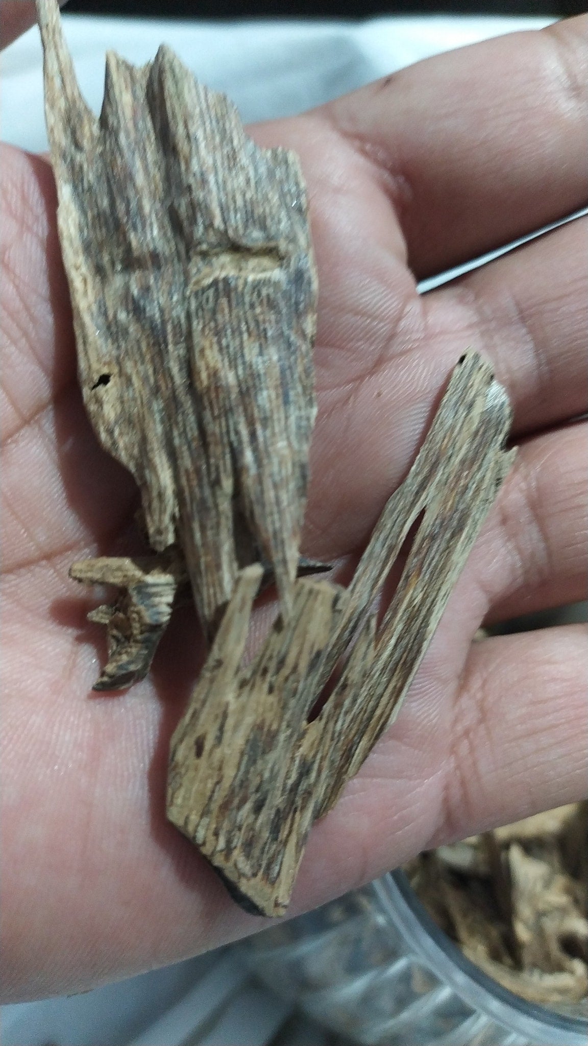 Premium Wild Assam Agarwood Chips - 100% Natural Aloeswood Incense for Meditation & Relaxation | High-Grade Hindi Oudh Chips for Aromatherapy, Yoga & Spiritual Practices (100g) - Perfect for Home Fragrance, Stress Relief & Sacred Ceremonies