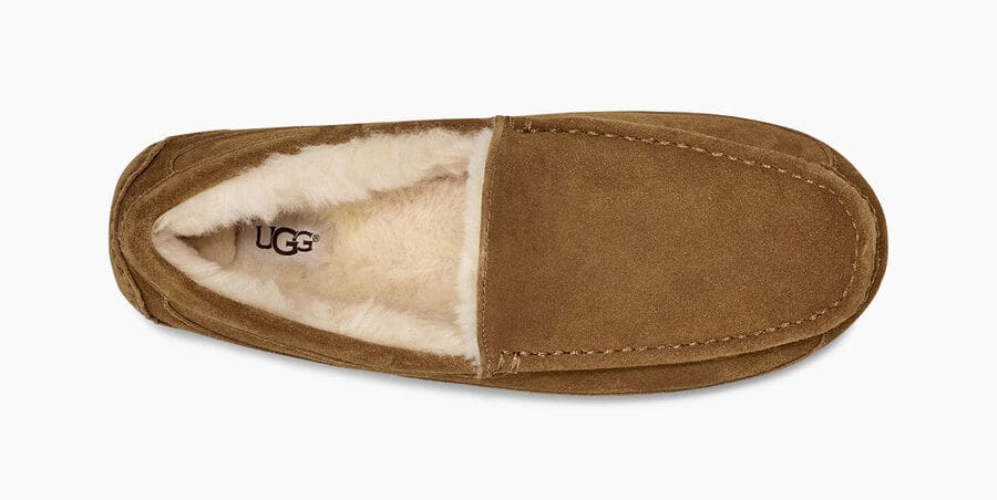 Ugg Ascot Suede Slippers for Men - Comfortable Indoor/Outdoor House Shoes with Soft Lining - Perfect for Relaxing at Home, Lounging, and Running Errands