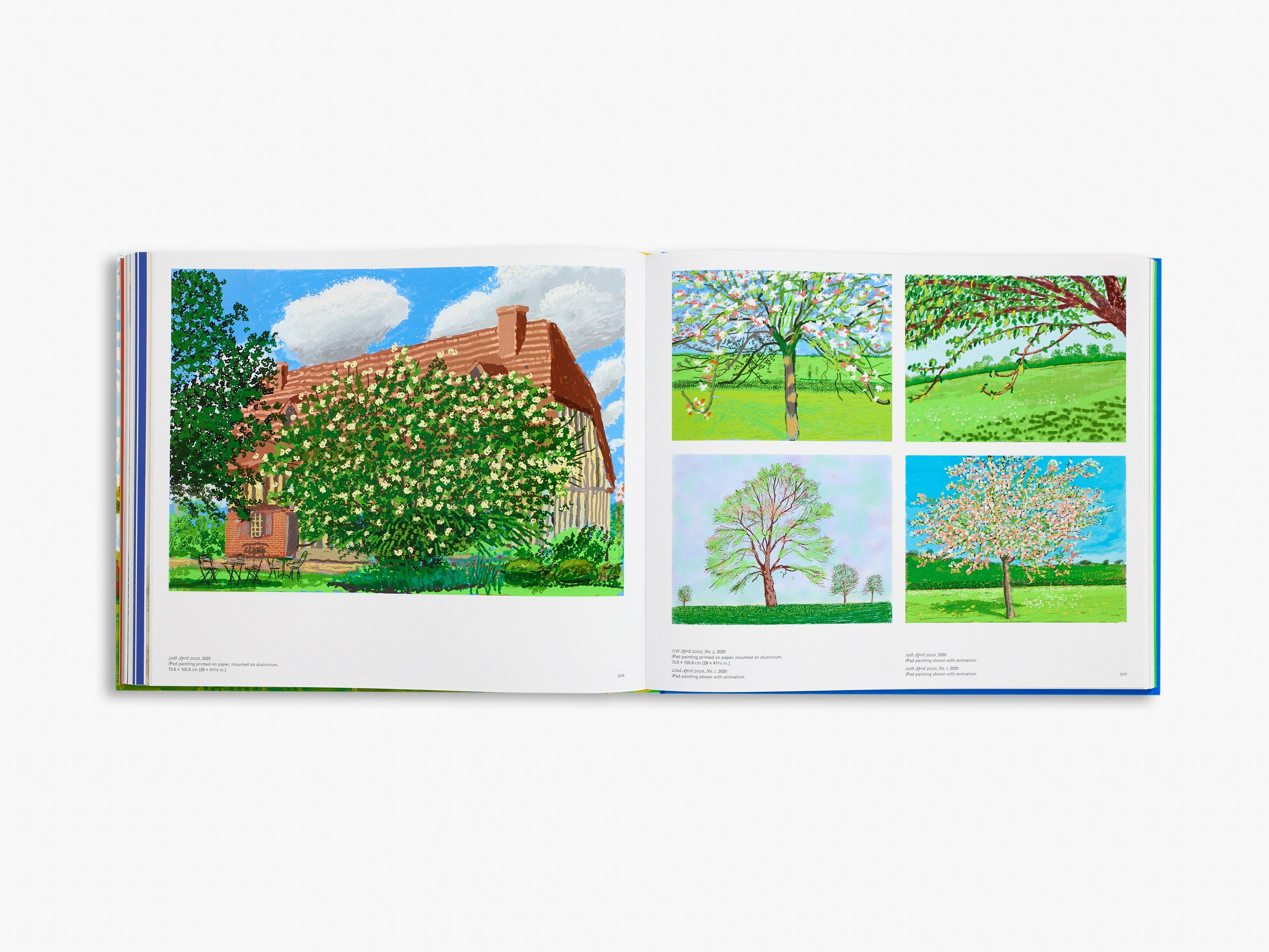 David Hockney Art Prints - High Quality Wall Decor for Living Room, Bedroom & Office | Famous British Artist Paintings for Home & Gift