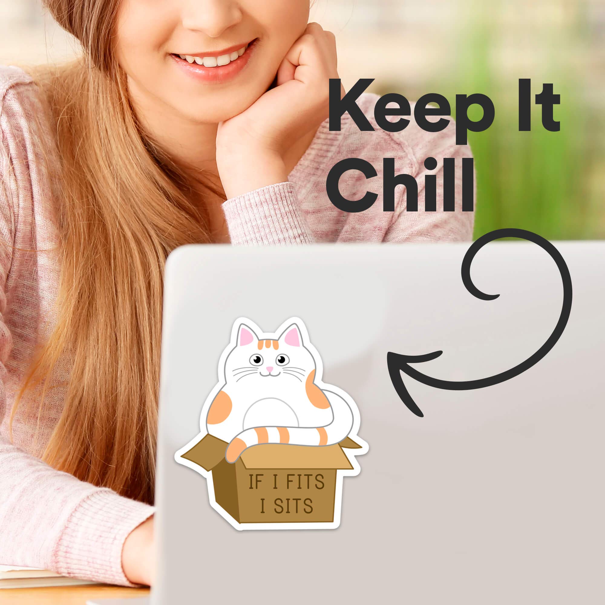 If I Fits I Sits Cat Stickers - 4
