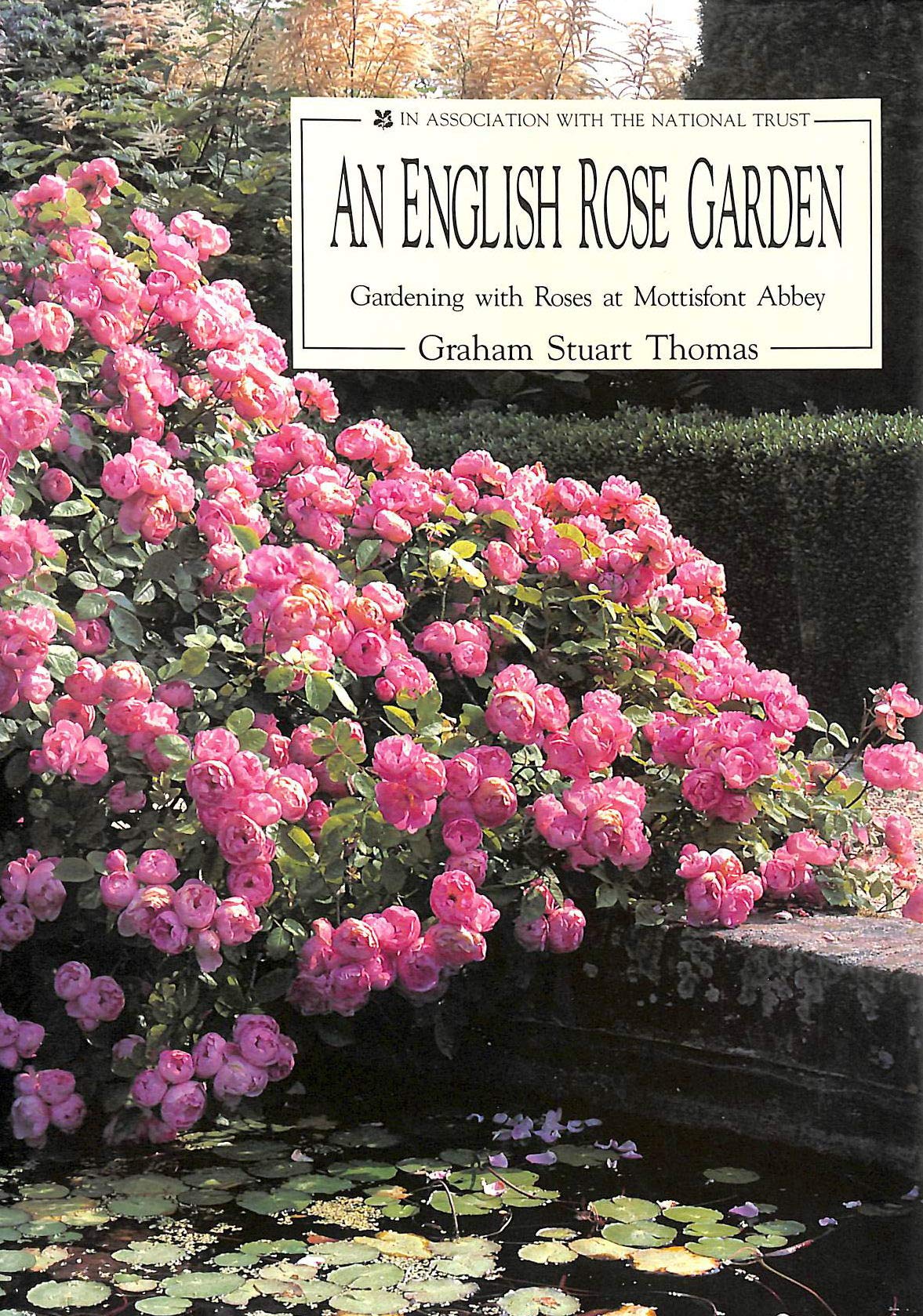 Beautiful English Rose Garden Guide: Tips for Growing Roses at Mottisfont Abbey | Perfect for Home Gardens & Landscaping
