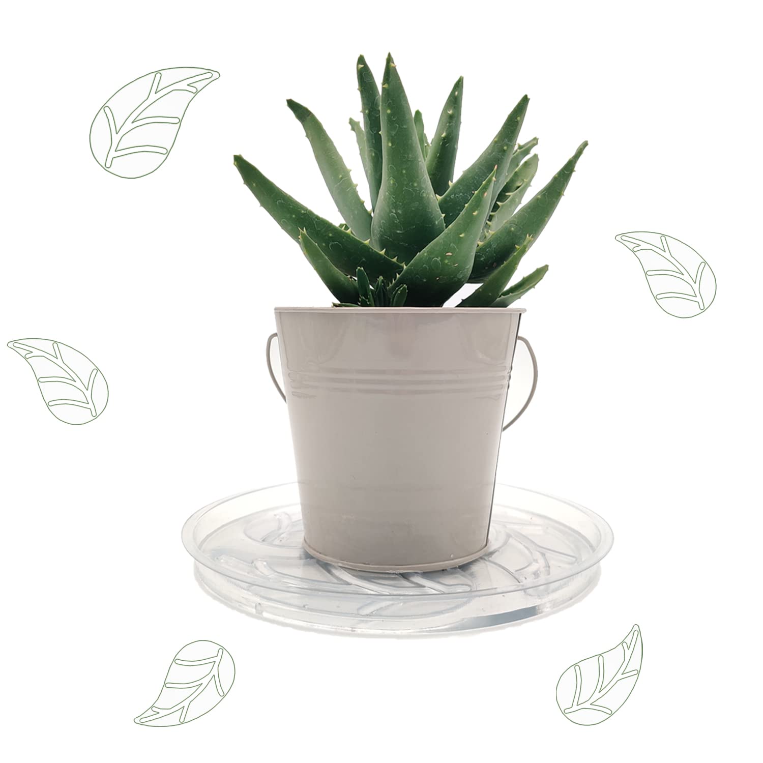 5 Pack 9 Inch Clear Plastic Plant Saucers - Heavy Duty Round Plant Drip Trays for Pots, Water Collection Trays for Indoor/Outdoor Plants - Perfect for Houseplants, Garden Pots, and Planters