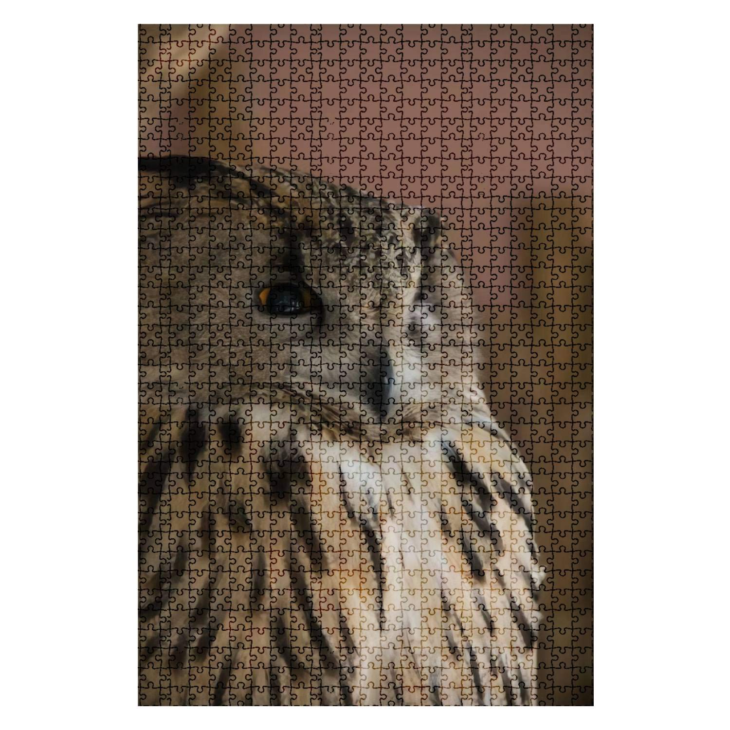 1000 Pieces Wooden Jigsaw Puzzle - Owl at The Zoo Forest Bird Eagle Portrait - Fun Challenging Board Game for Adults & Kids - DIY Educational Toy Gift Home Decor - Perfect for Family Game Night, Classroom Activities & Stress Relief